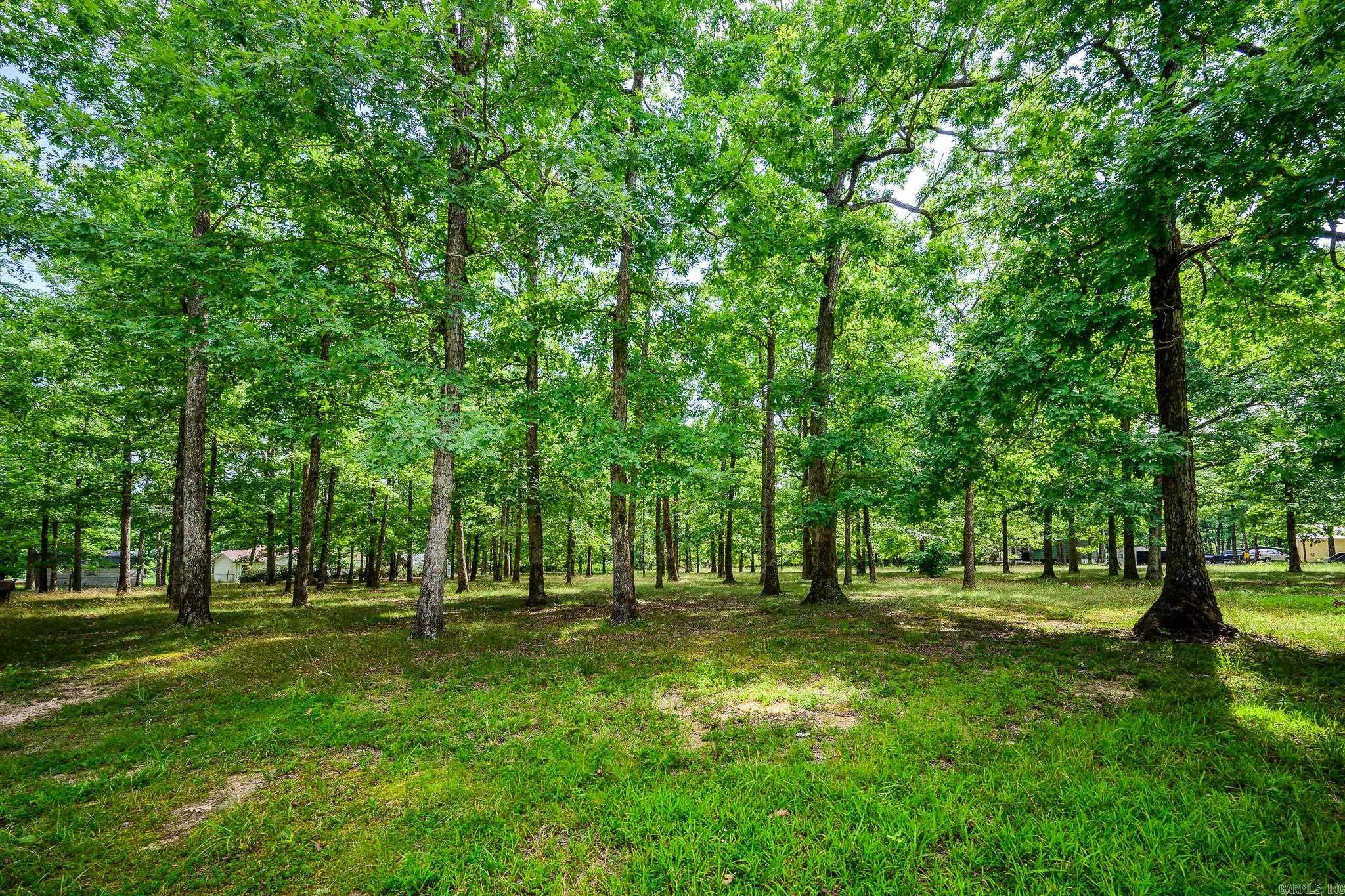 162 Dogwood Springs Ln Property Photo 8