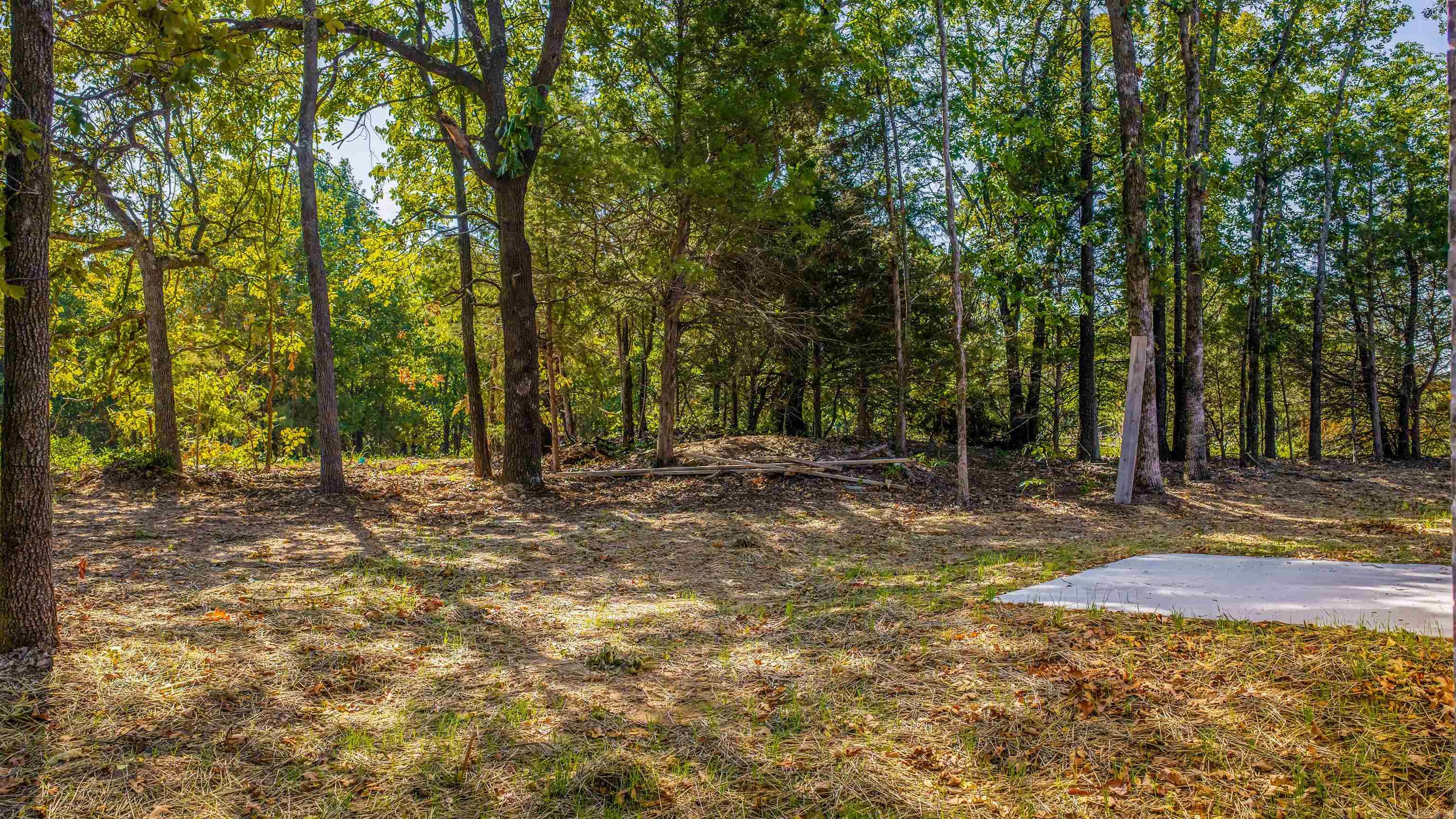 37 Summer Sky Drive Property Photo 33