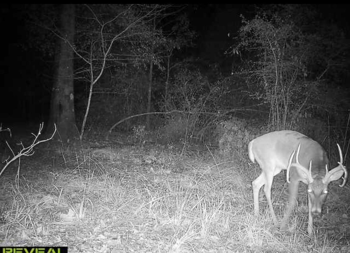 4400 Rye Cutoff Road Property Photo 11