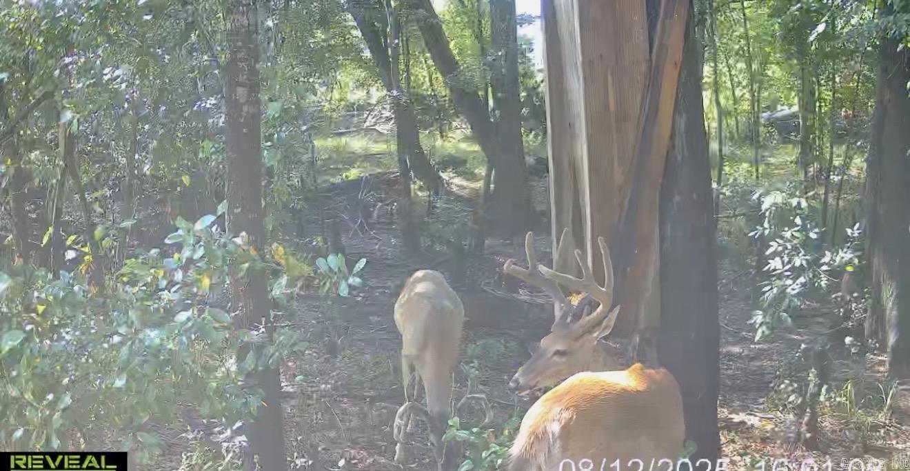 4400 Rye Cutoff Road Property Photo 12