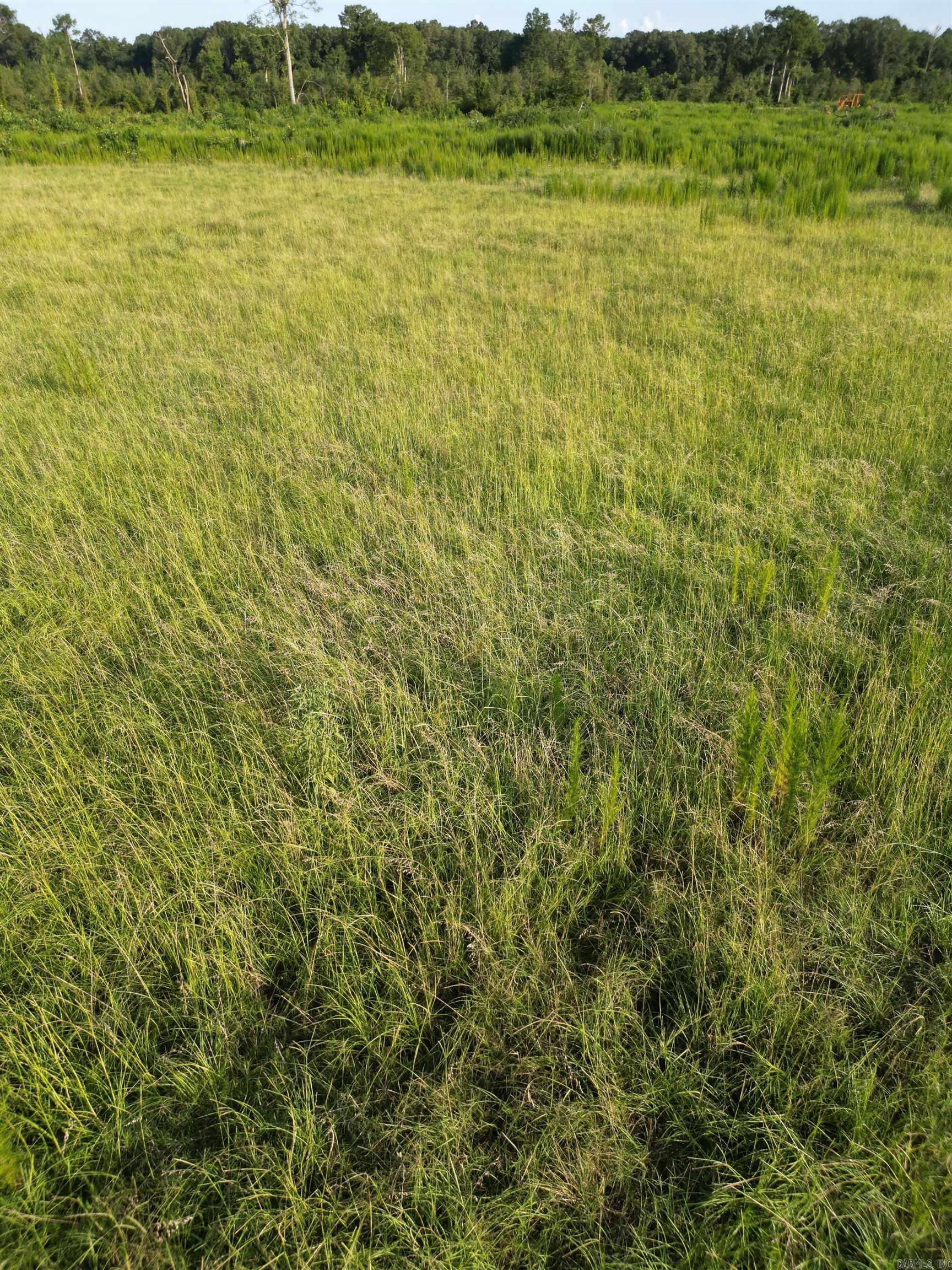 4400 Rye Cutoff Road Property Photo 29