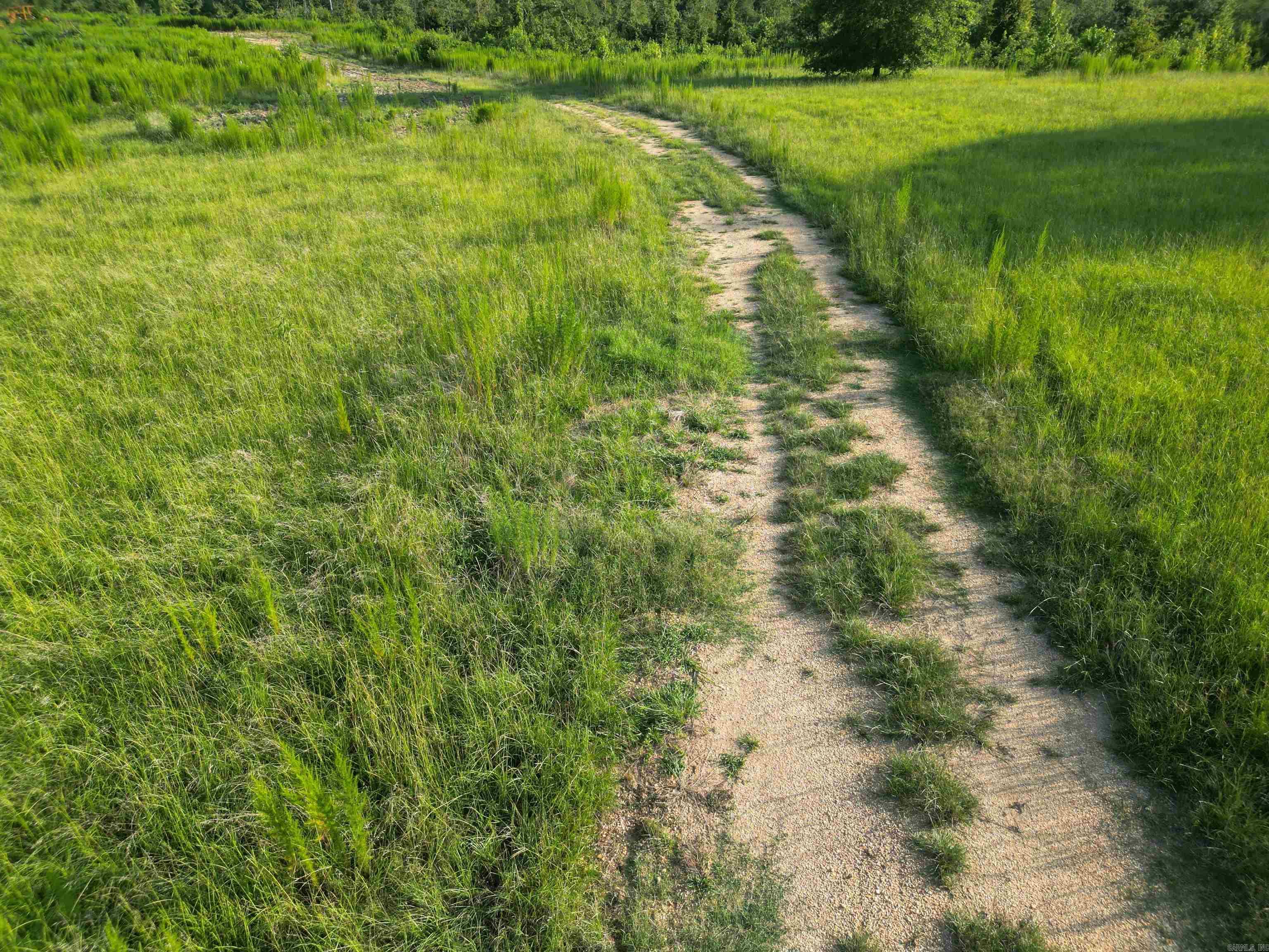 4400 Rye Cutoff Road Property Photo 31