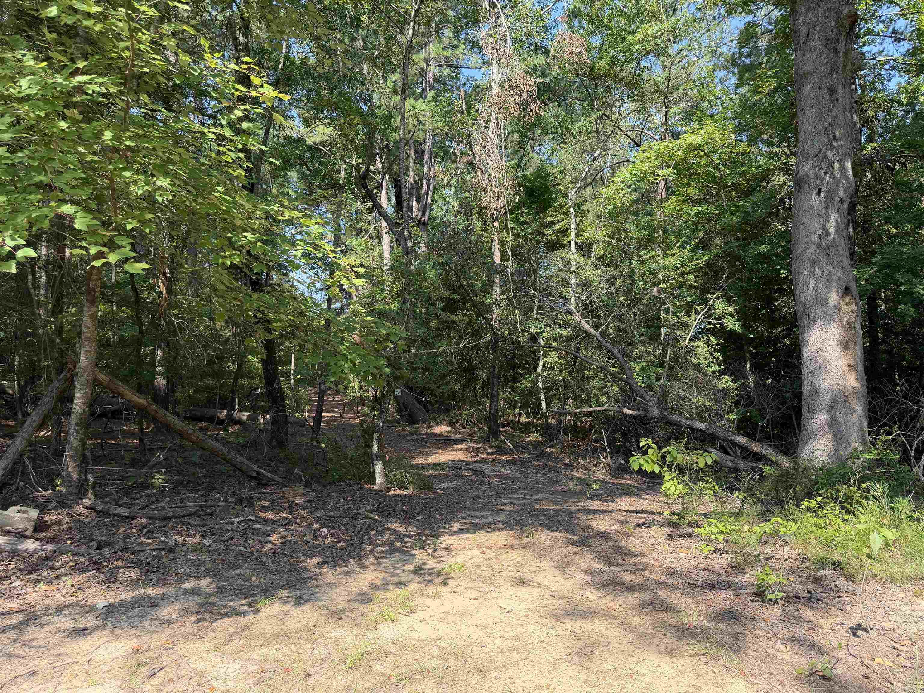 30 +- Acres Property Photo 5