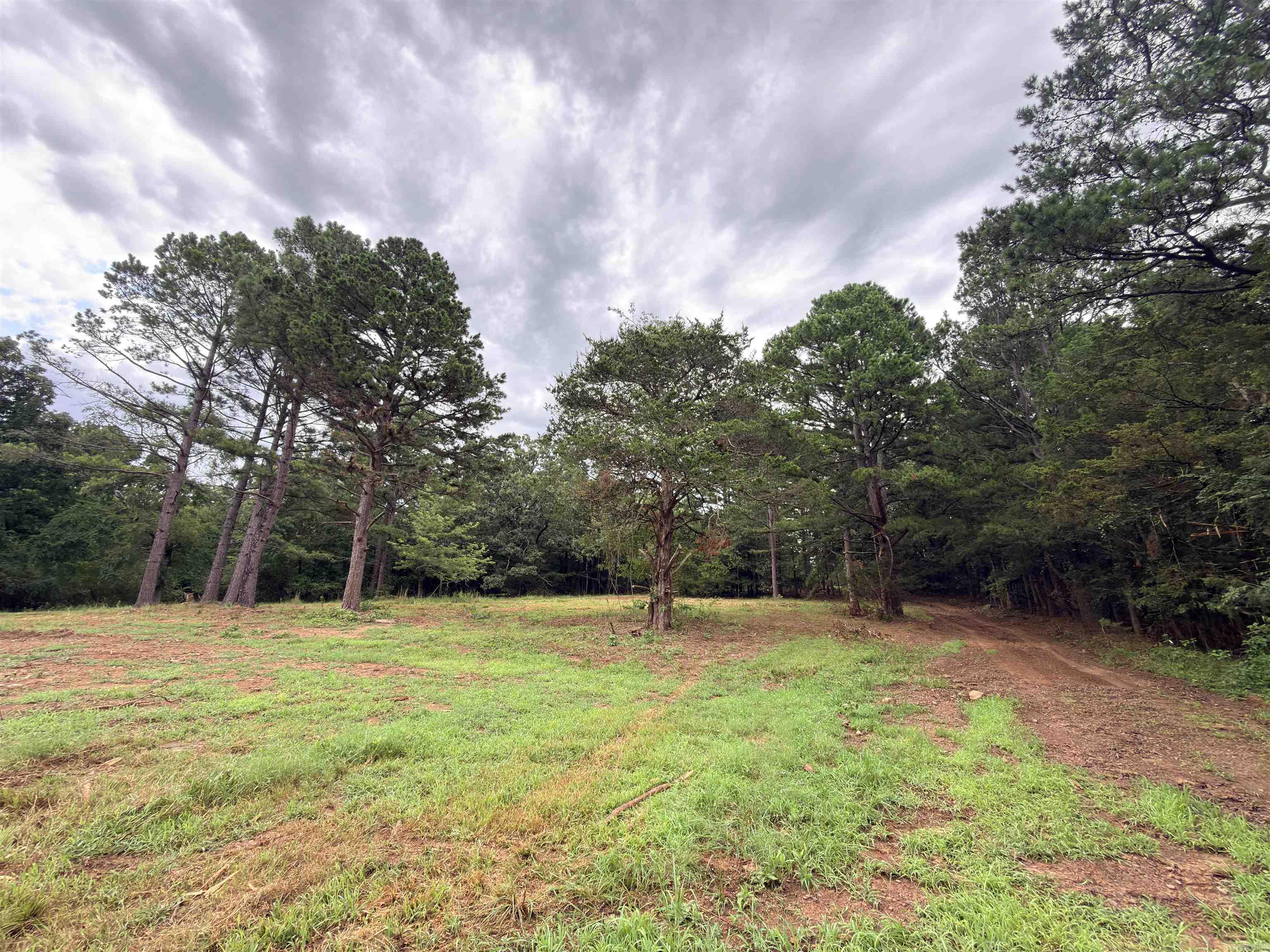 3938 County Road 3631 Property Photo 1