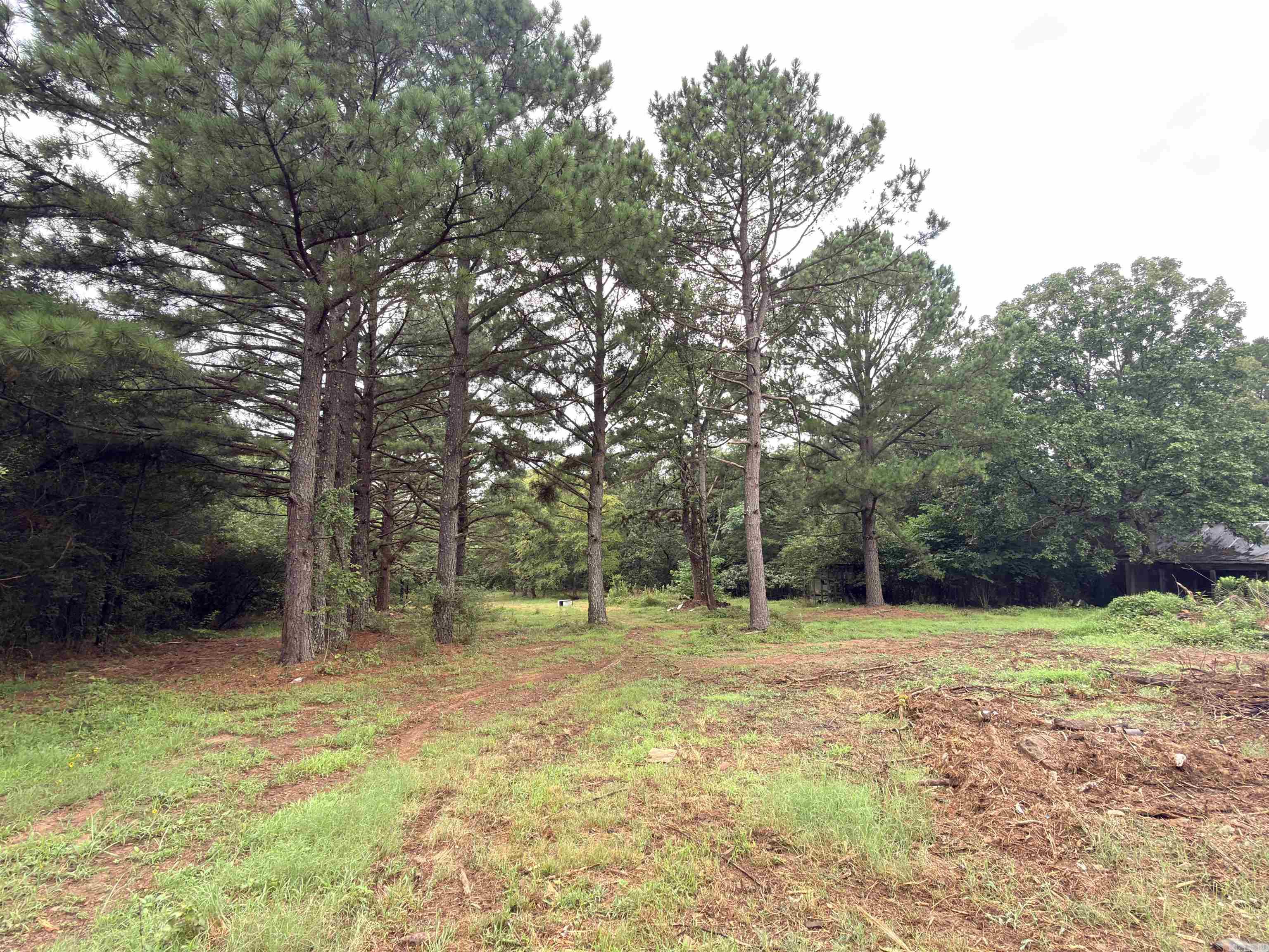 3938 County Road 3631 Property Photo 2