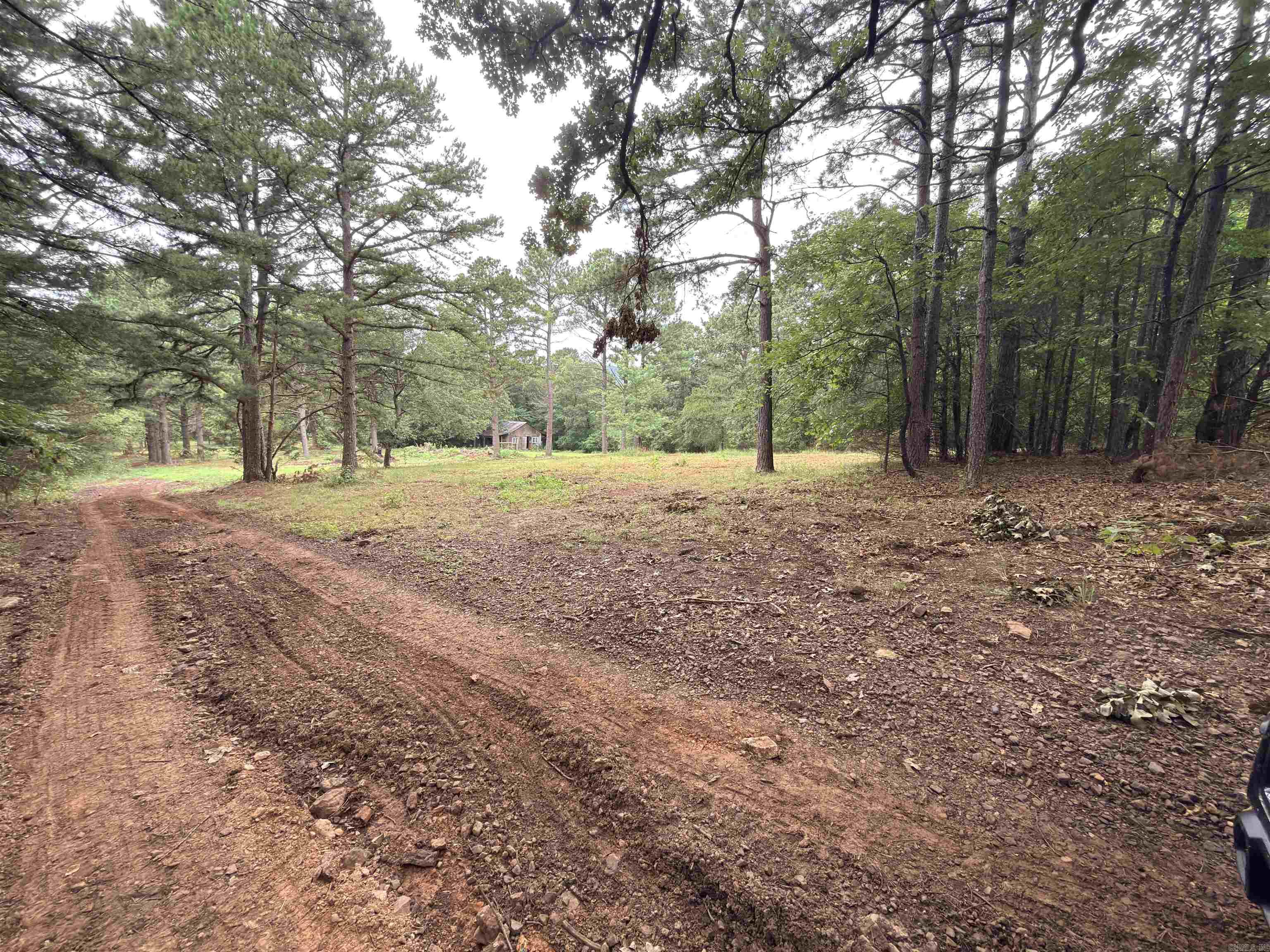3938 County Road 3631 Property Photo 3