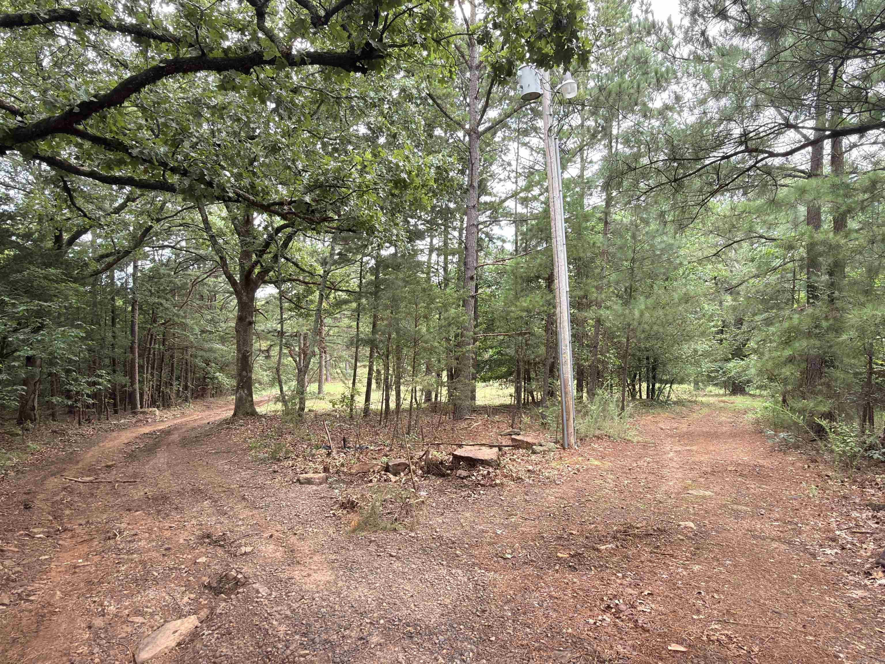 3938 County Road 3631 Property Photo 4