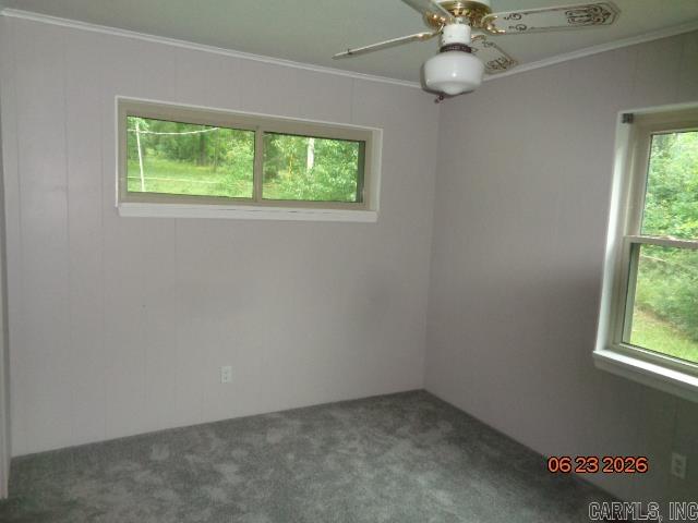 2318 W Lakeview Property Photo 19