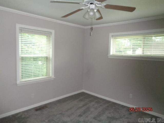 2318 W Lakeview Property Photo 21