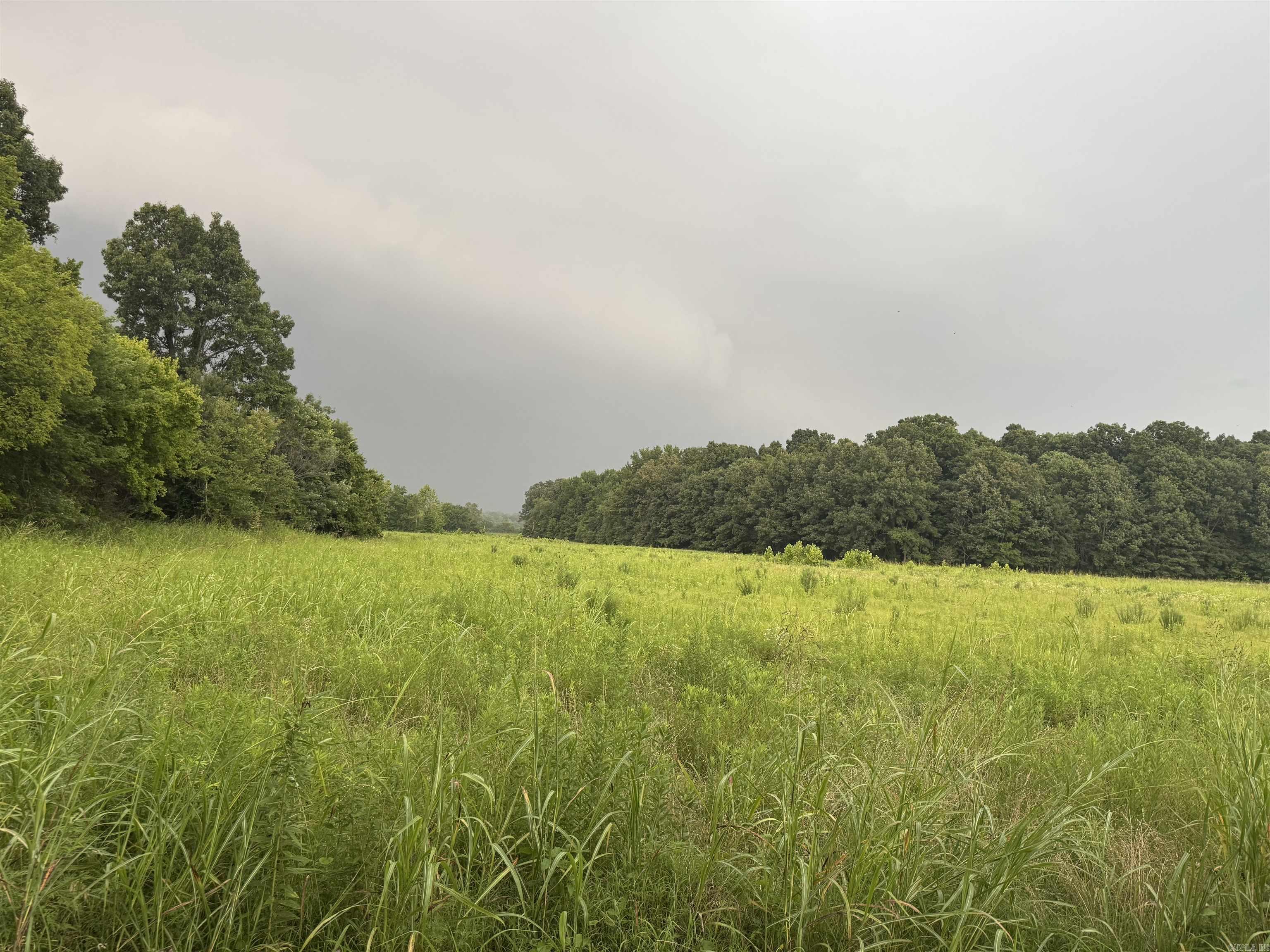 463 County Road 352 Property Photo 5