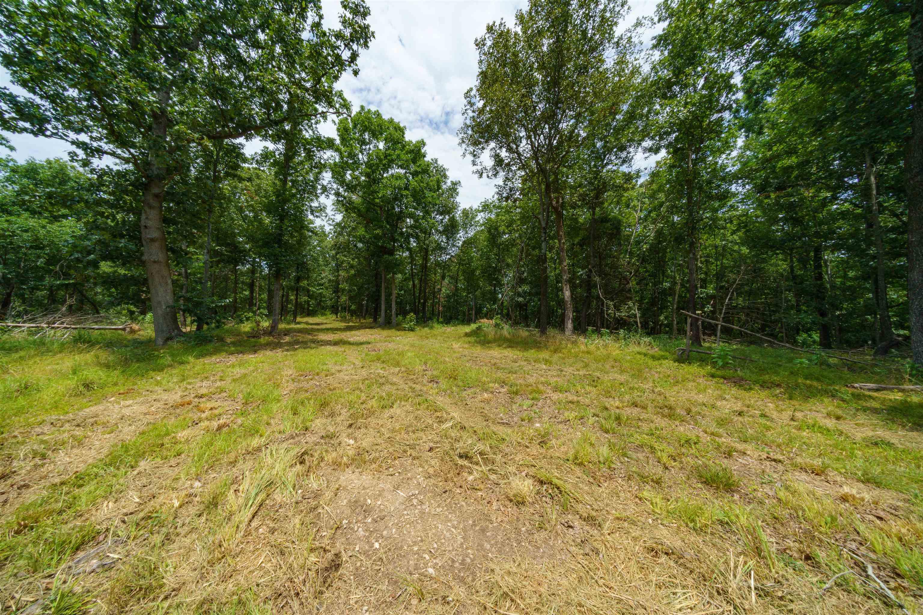 000 Antioch Road Property Photo 3