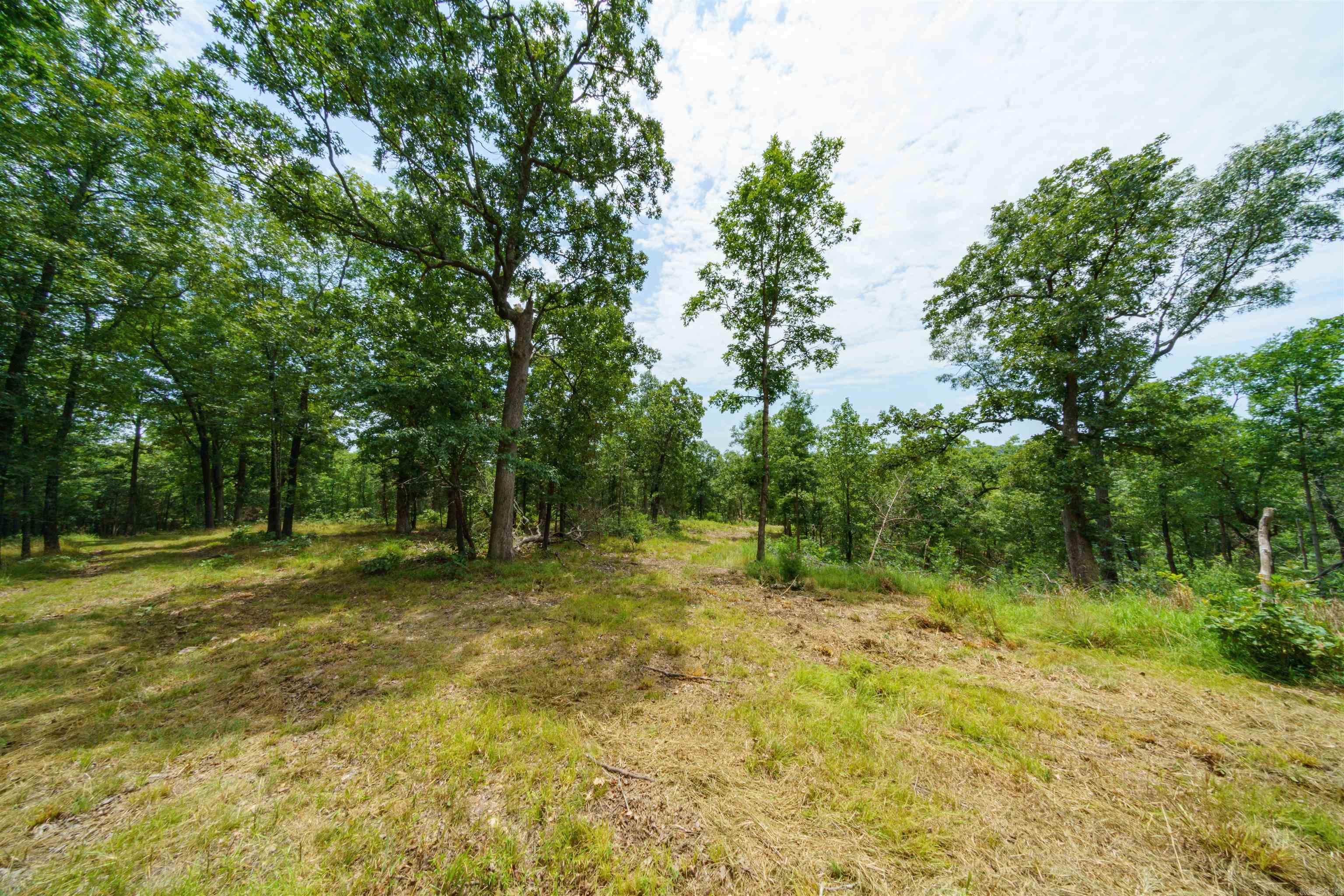 000 Antioch Road Property Photo 4