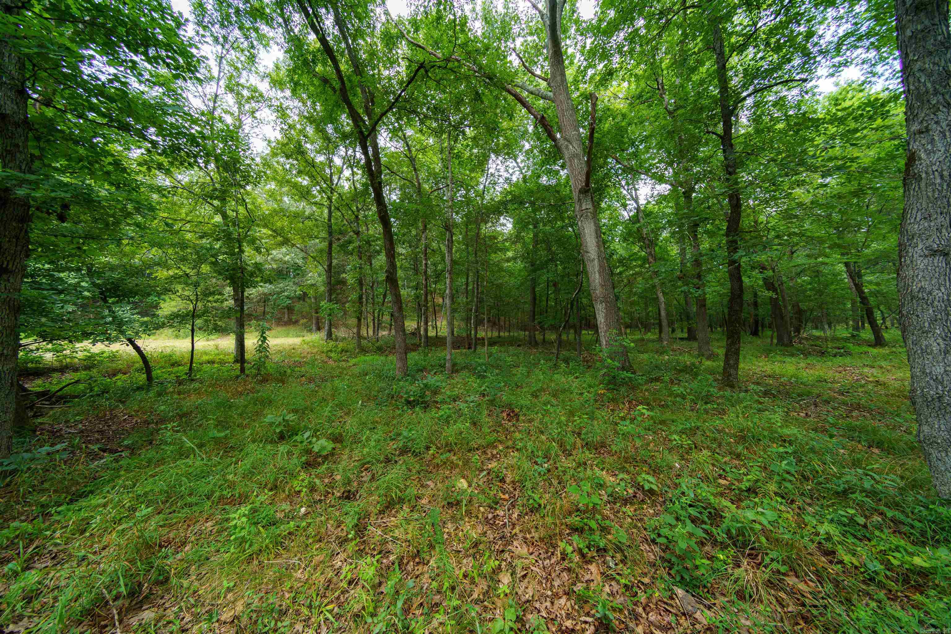 000 Antioch Road Property Photo 12