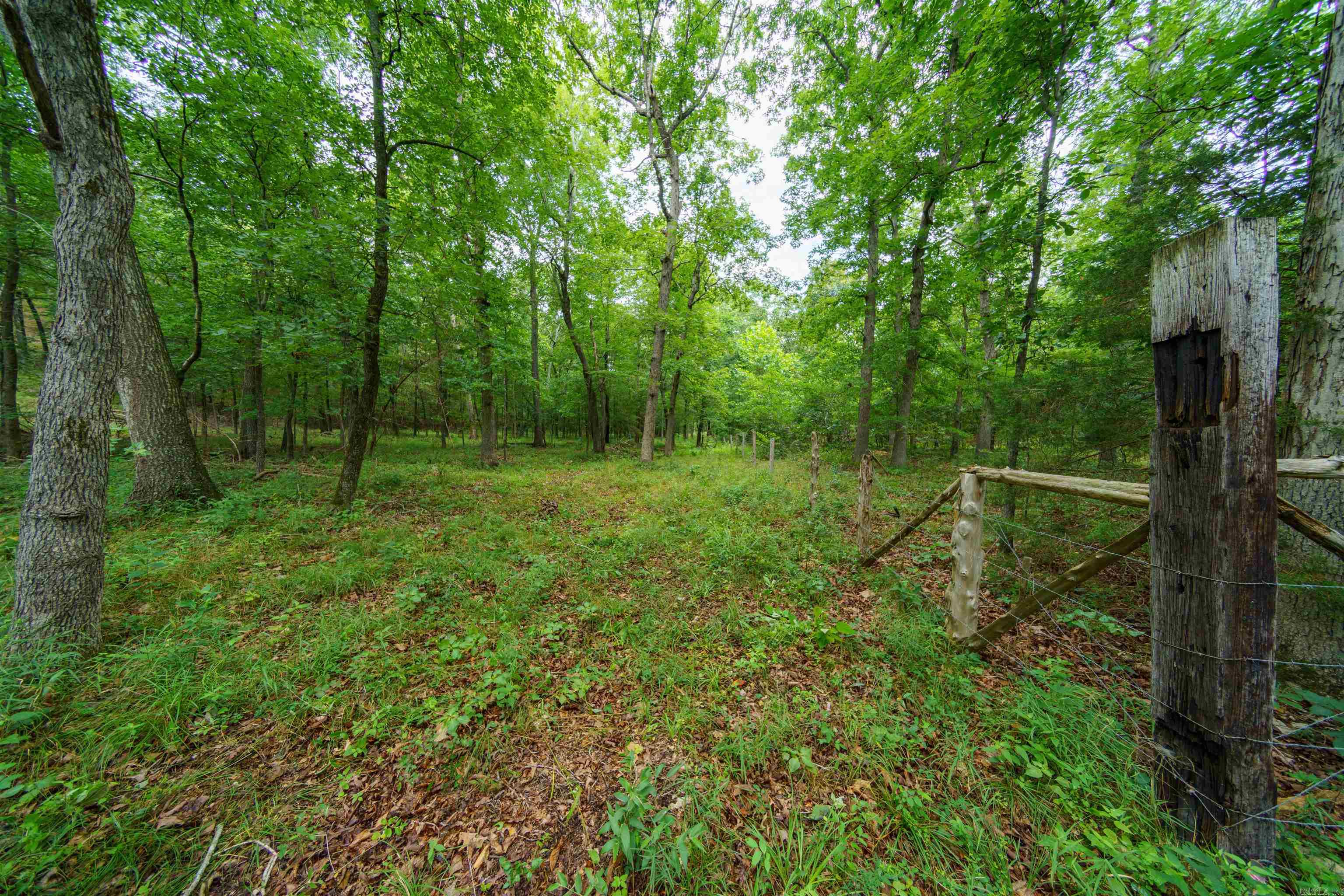 000 Antioch Road Property Photo 13