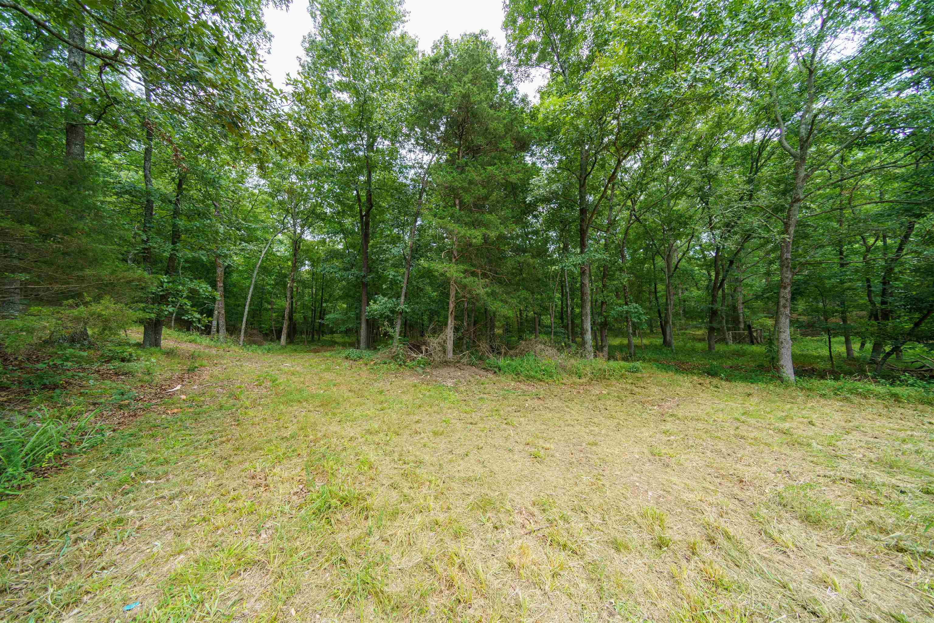 000 Antioch Road Property Photo 14