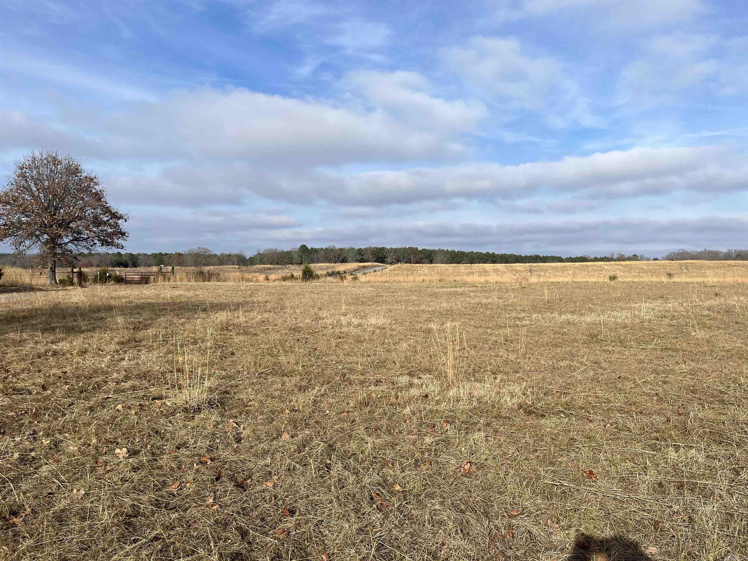 00 Hwy 124 West Property Photo 1