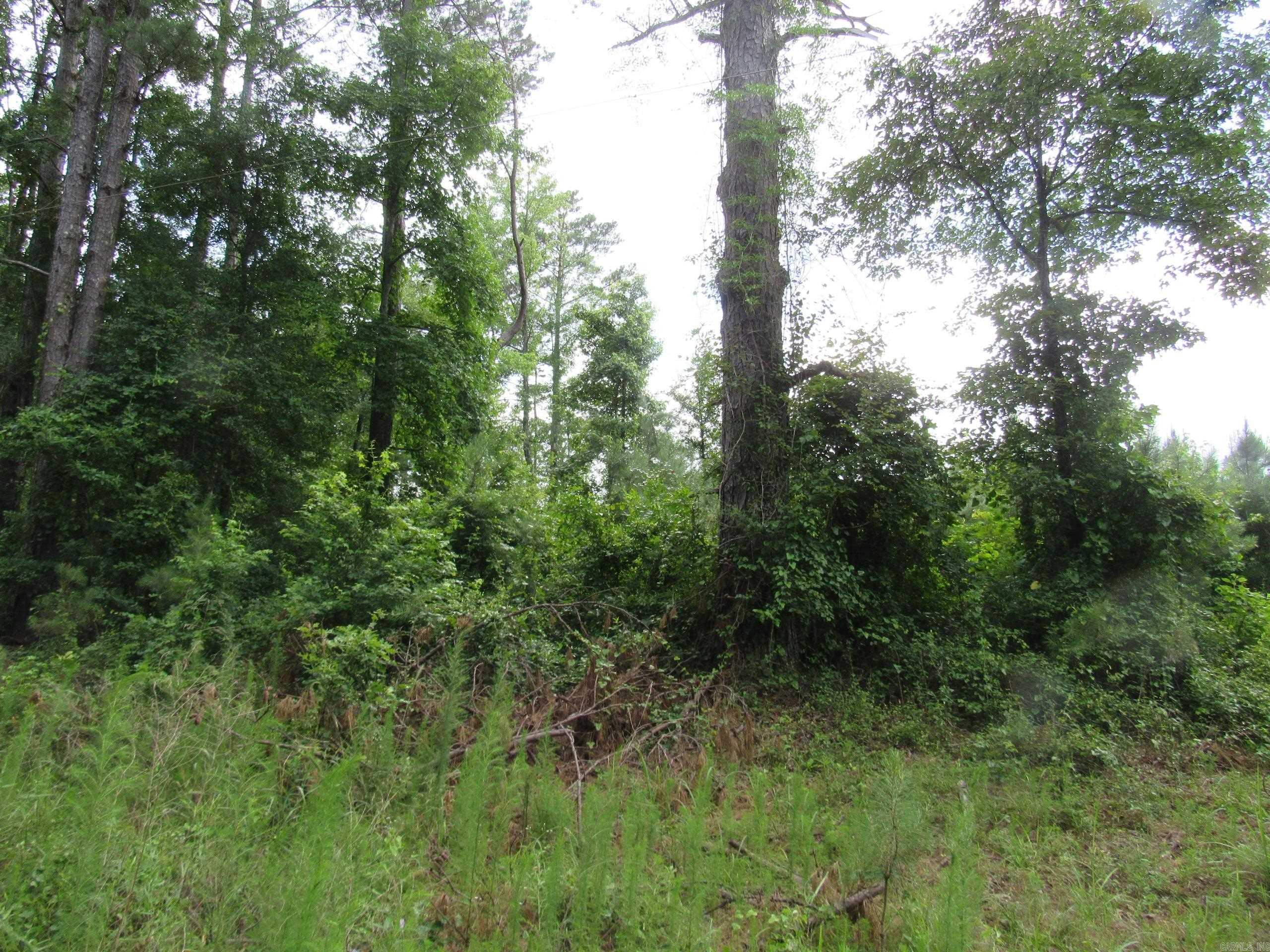 000 Salom Rd Property Photo 20