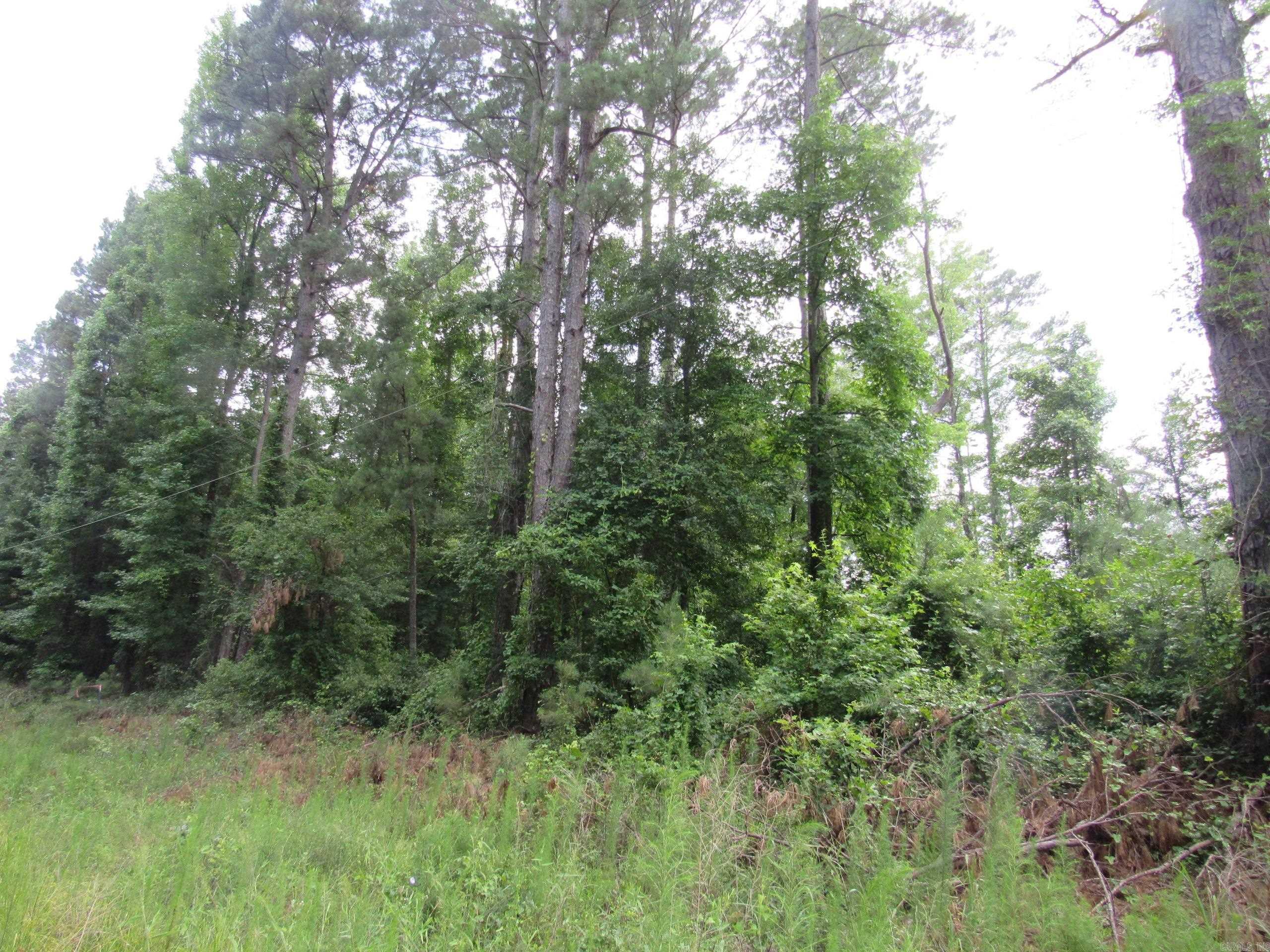 000 Salom Rd Property Photo 21