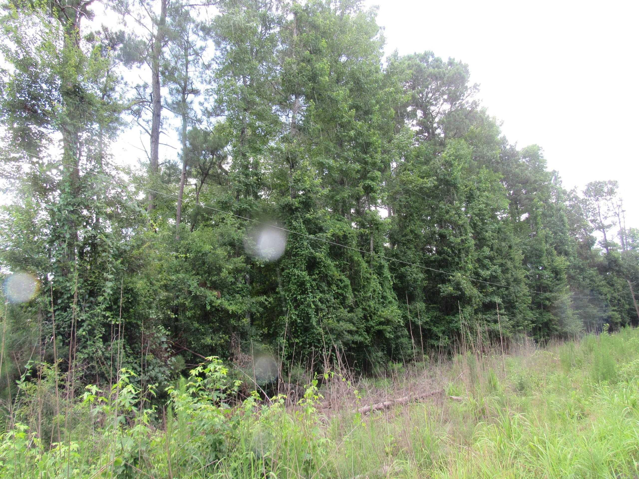 000 Salom Rd Property Photo 22