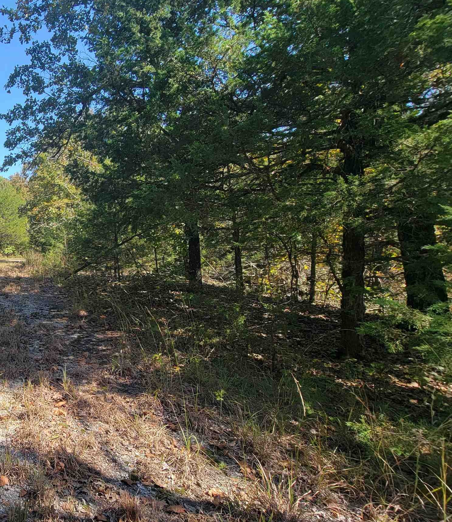 Part 16/2 Timberlane Drive Property Photo 1