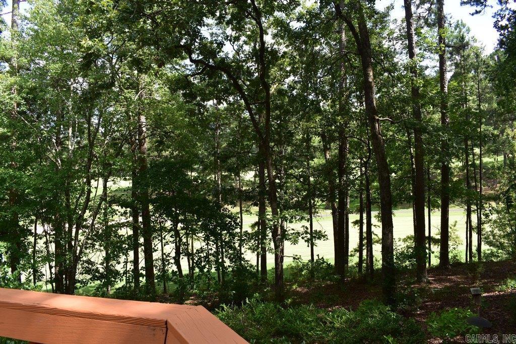 4 Almendra Lane Property Photo 19