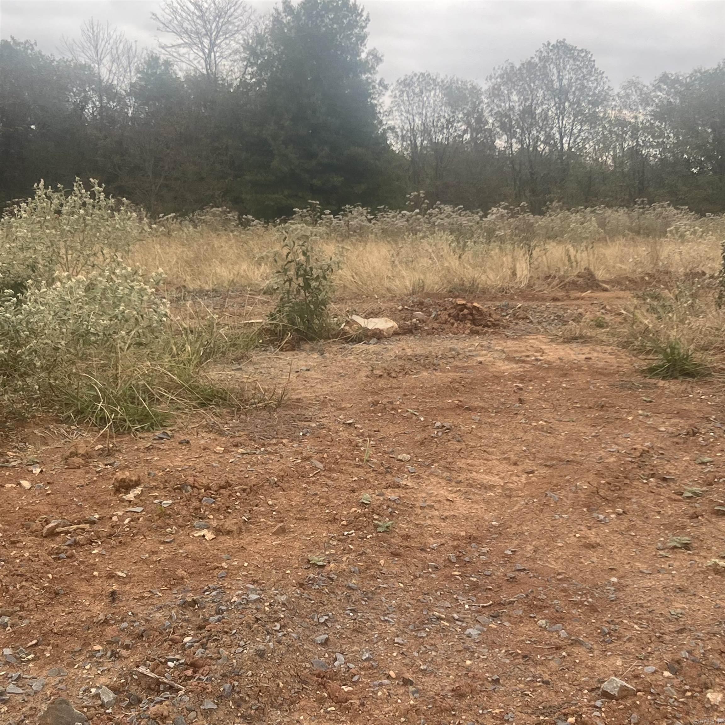 604 Corondelet Lane Property Photo 4