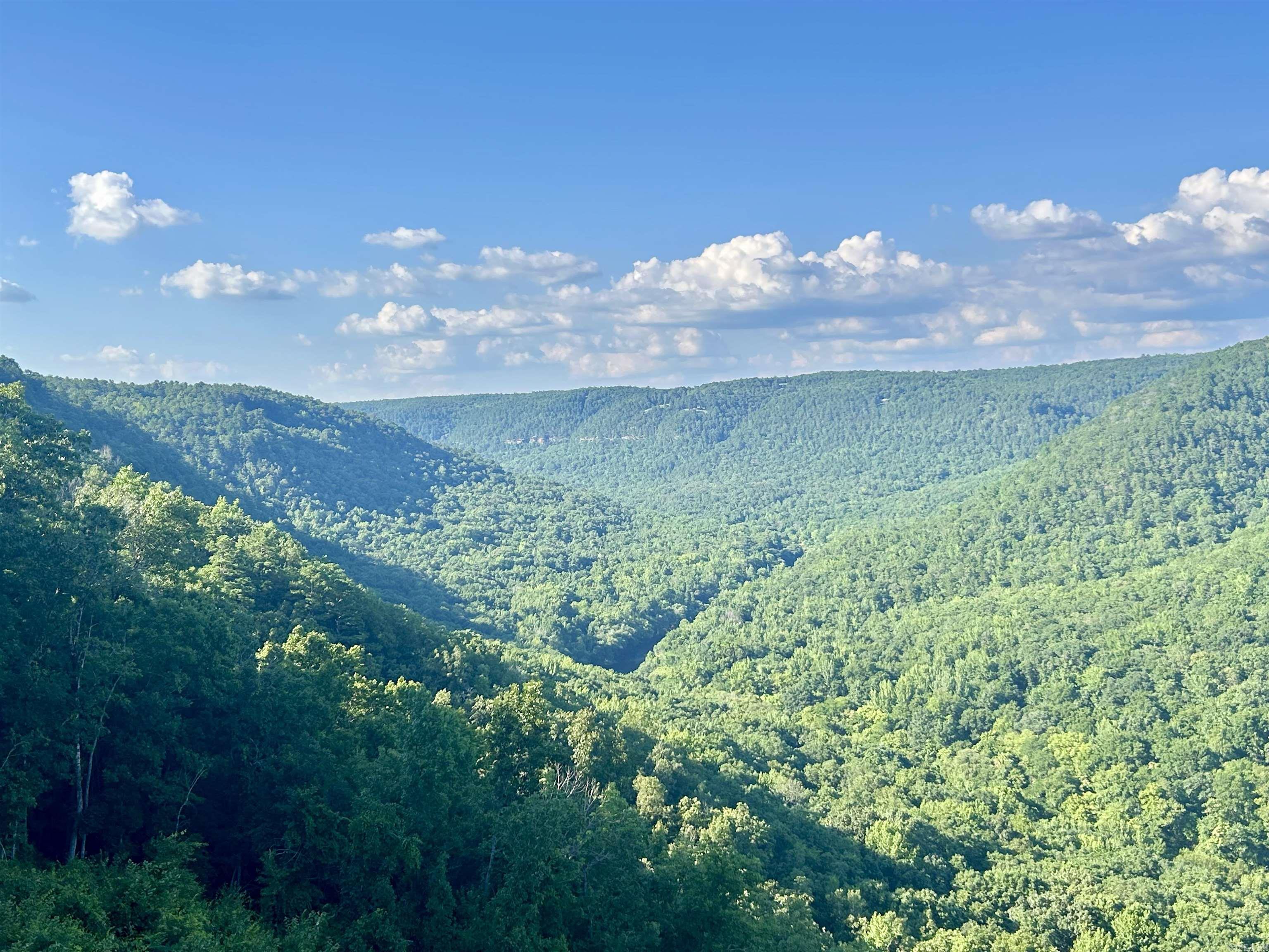 3684 Lute Mountain Road Property Photo 12