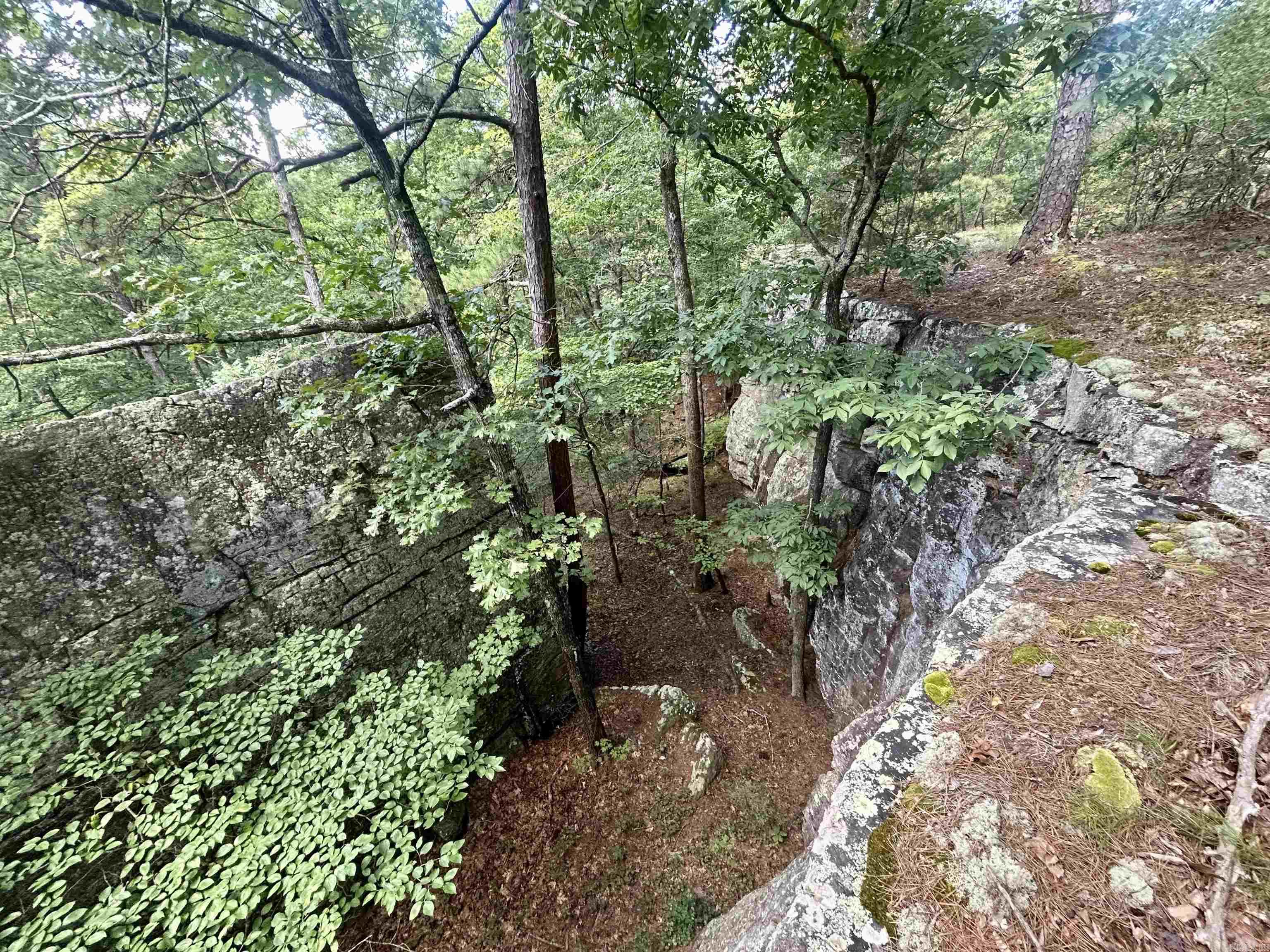 3684 Lute Mountain Road Property Photo 38