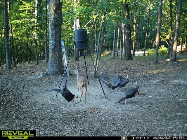 500 Leech Dr. Property Photo 19