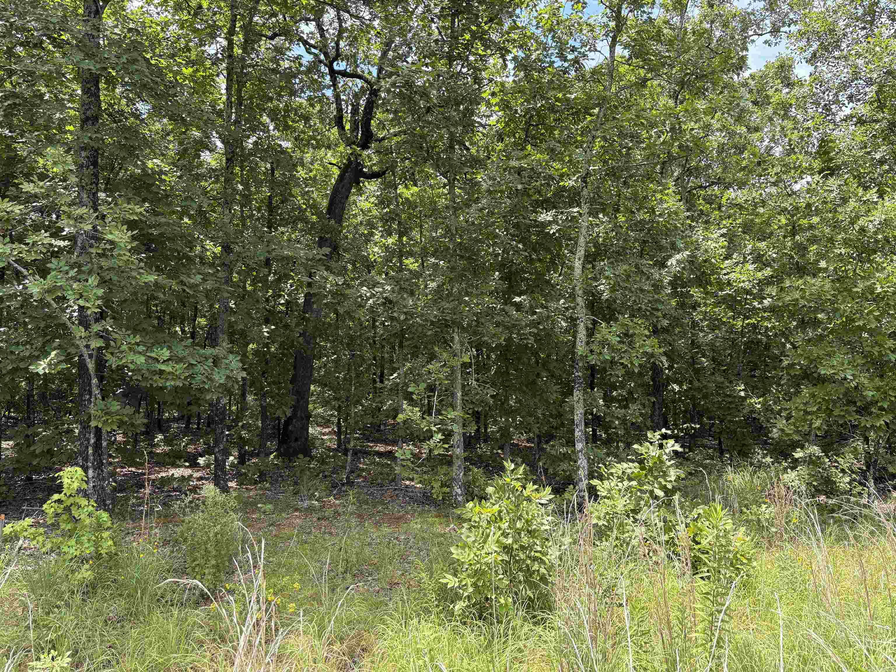 Rebecca Cove Property Photo 3