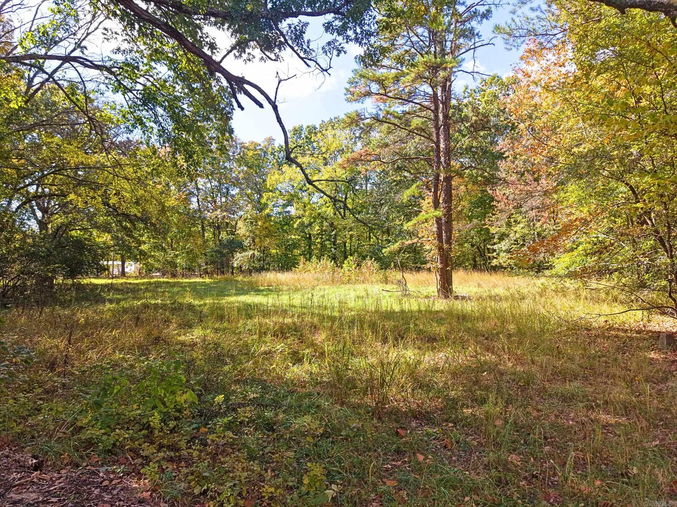 3599 N Hwy 7 Property Photo 11