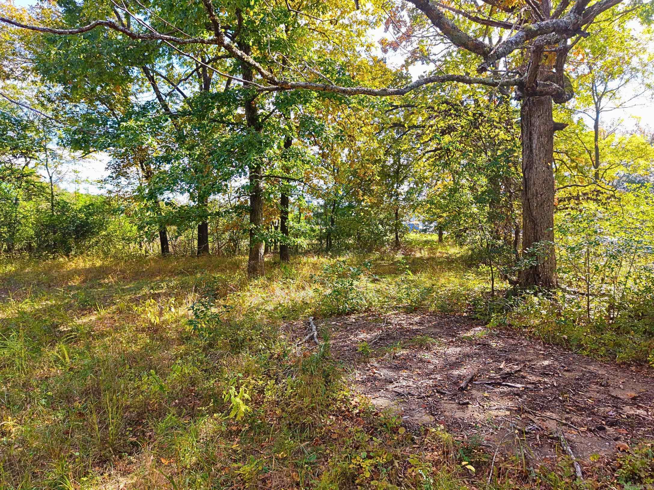 3599 N Hwy 7 Property Photo 12