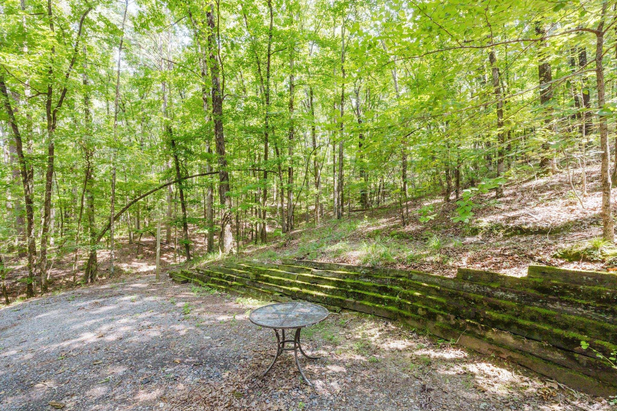 16501 Burlingame Road Property Photo 49