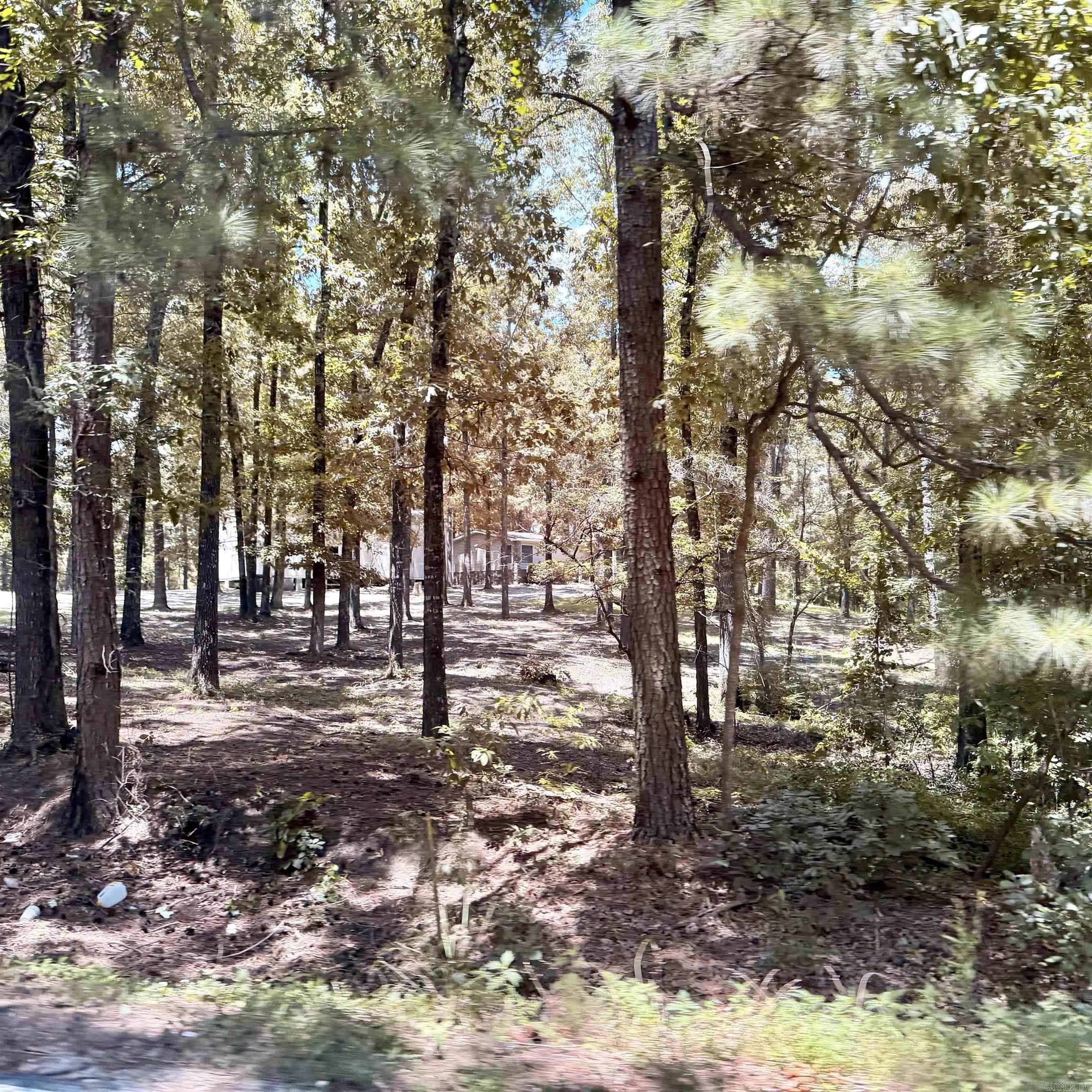 6500 W Sawmill Property Photo 3