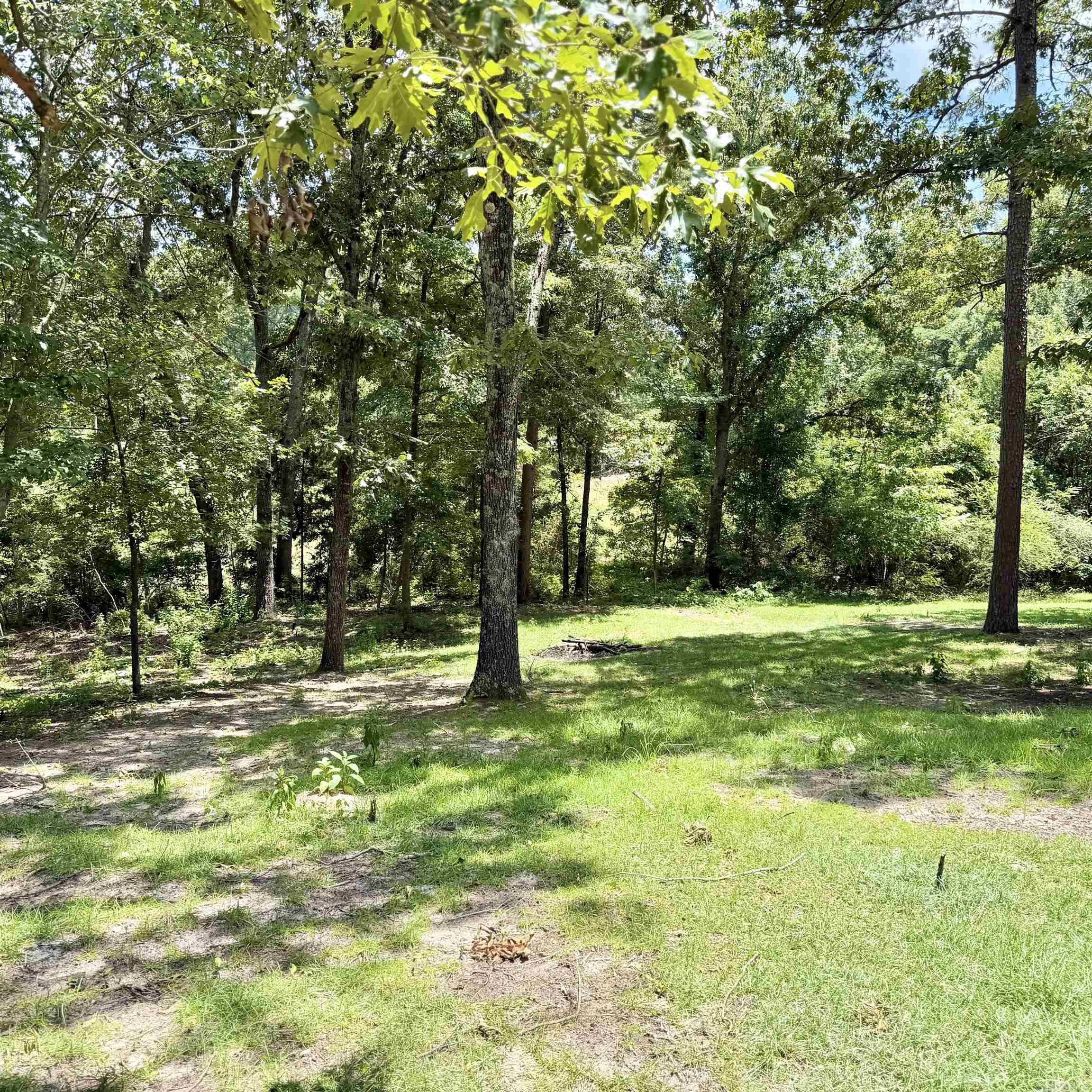 6500 W Sawmill Property Photo 4