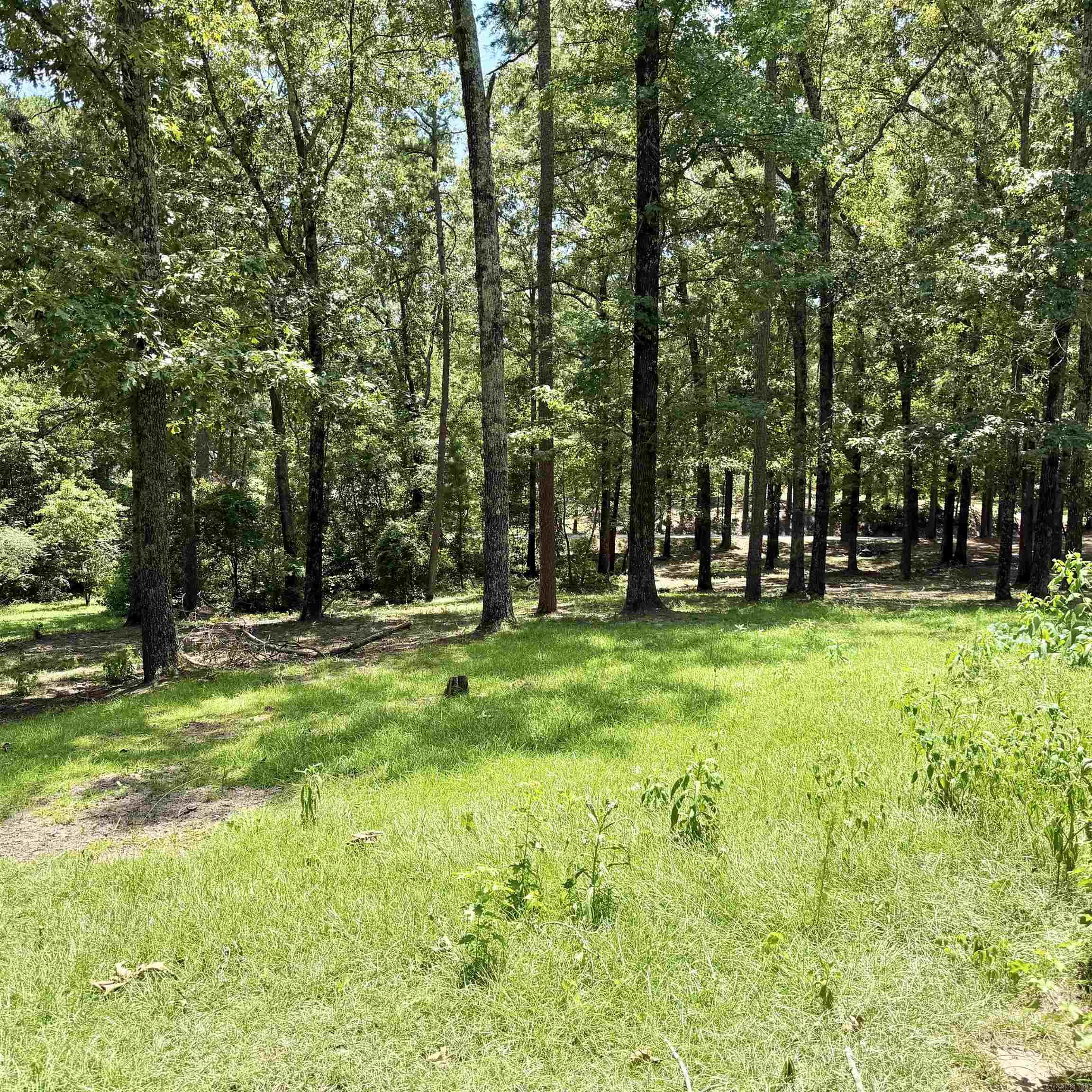 6500 W Sawmill Property Photo 5