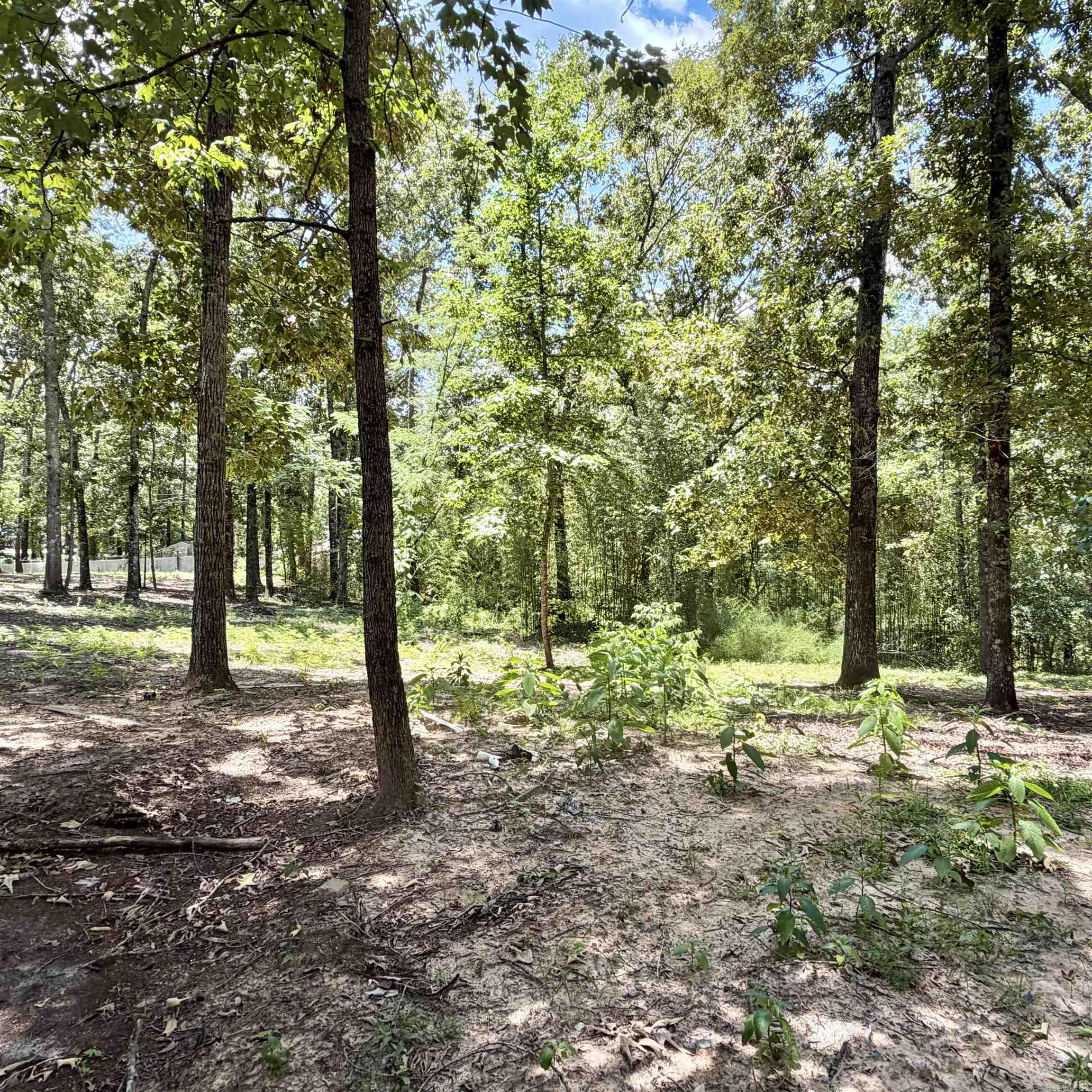 6500 W Sawmill Property Photo 11