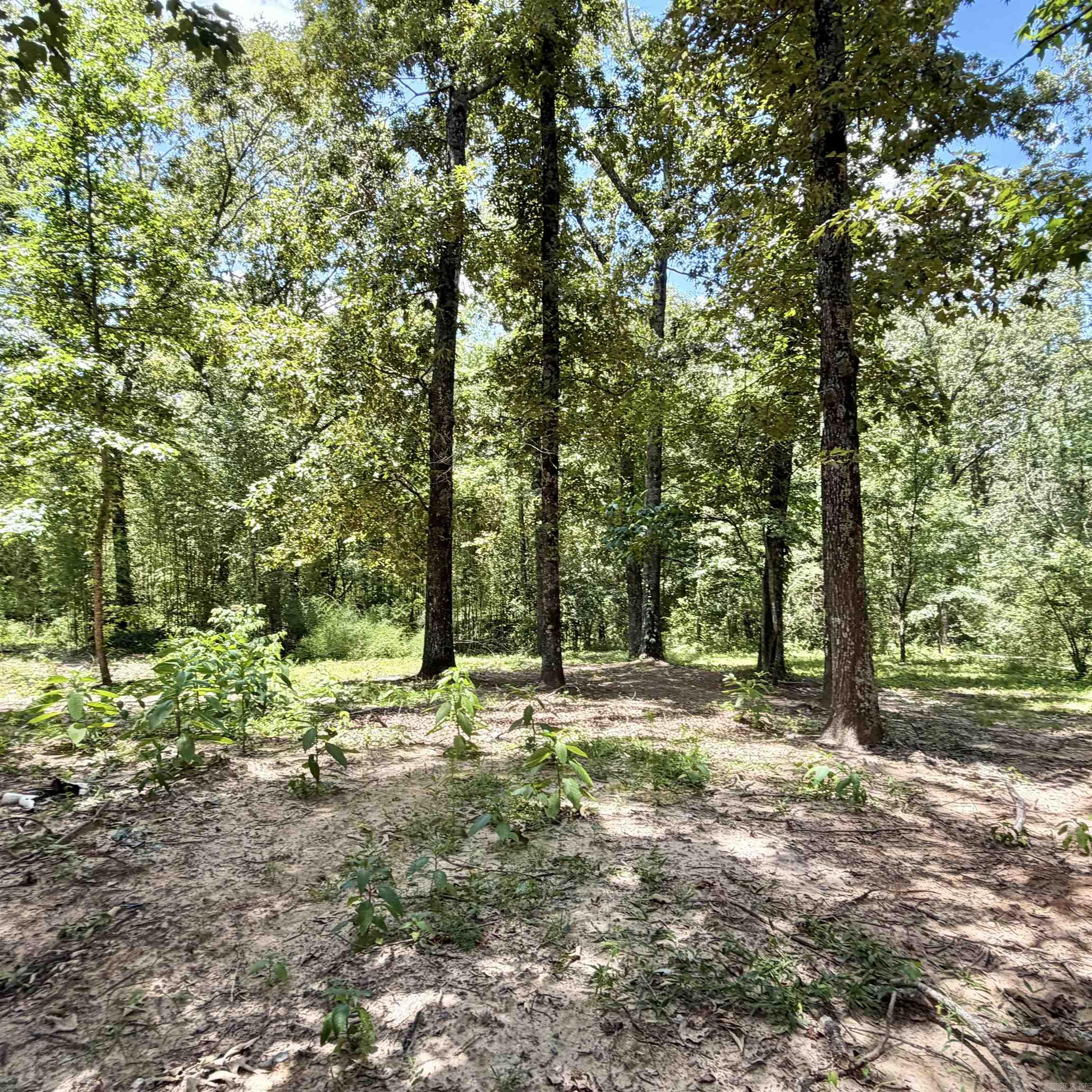 6500 W Sawmill Property Photo 12