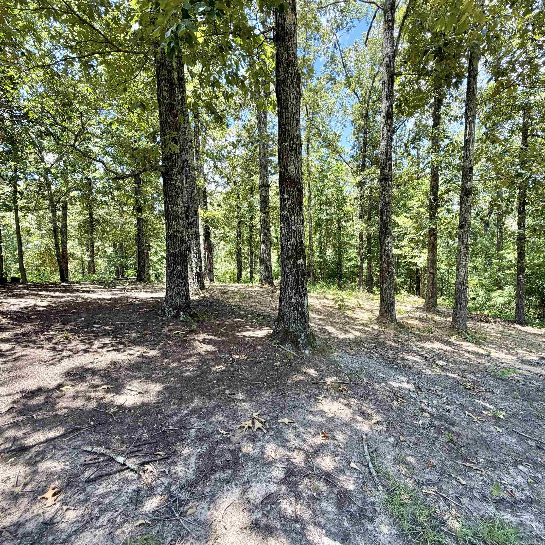 6500 W Sawmill Property Photo 14