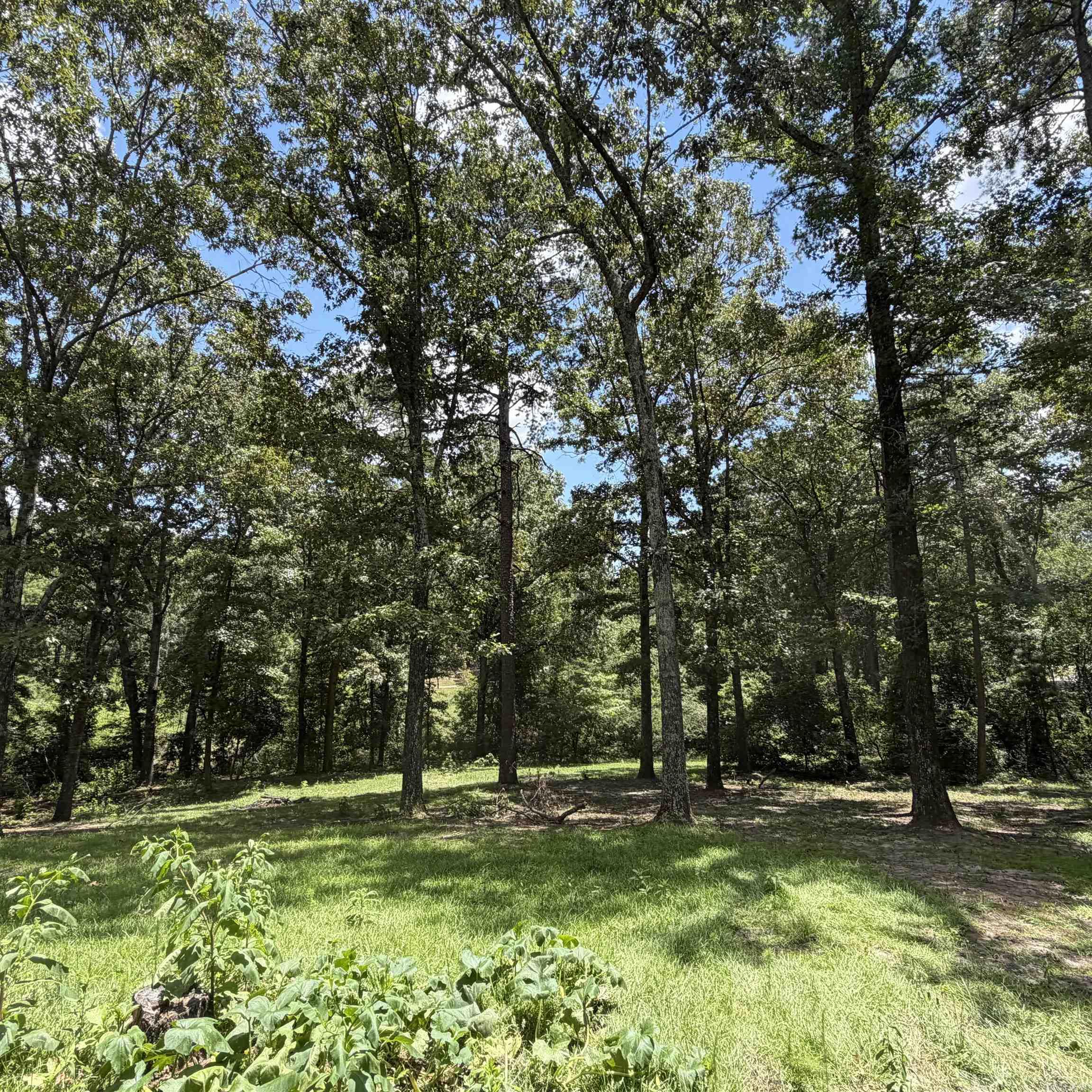 6500 W Sawmill Property Photo 35