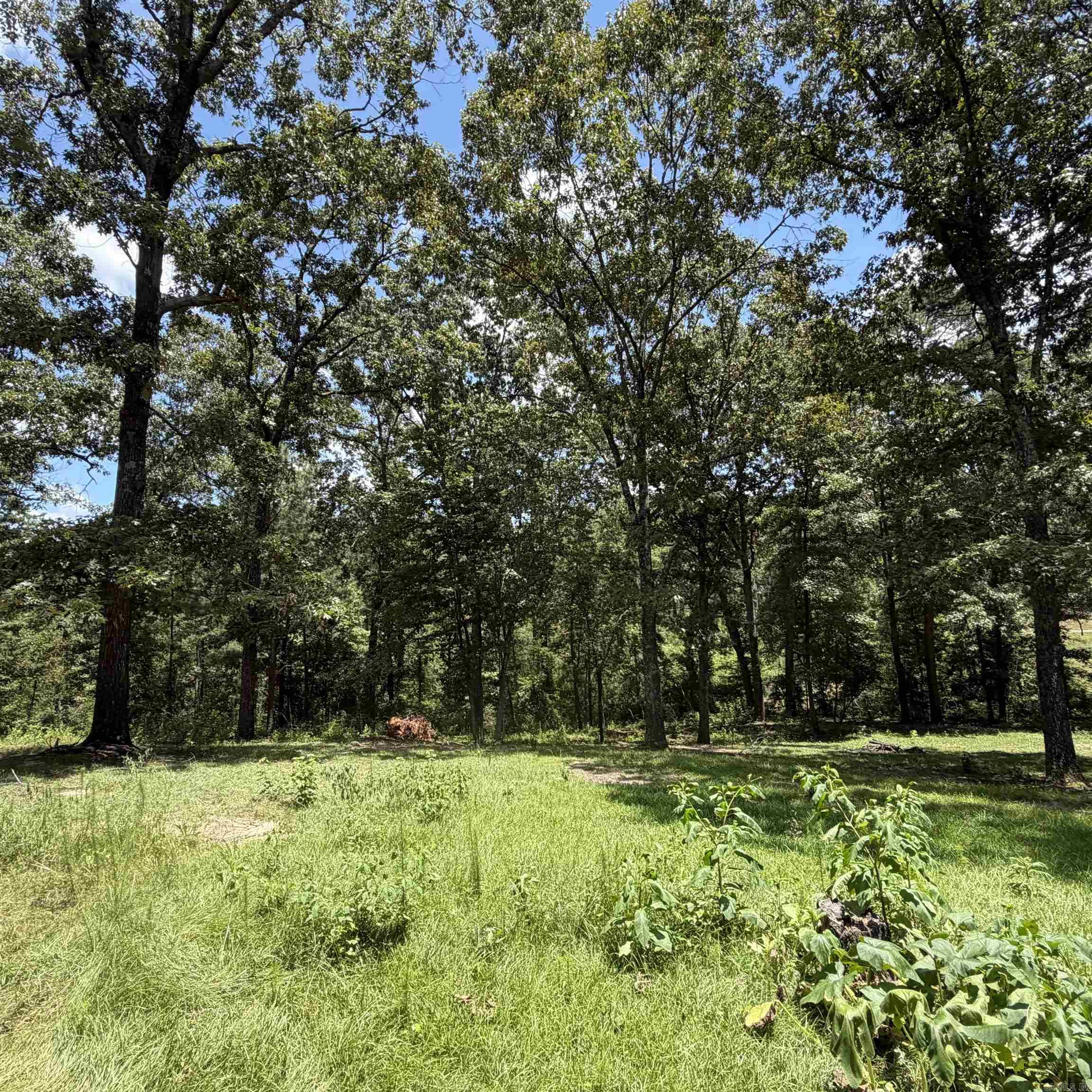 6500 W Sawmill Property Photo 37