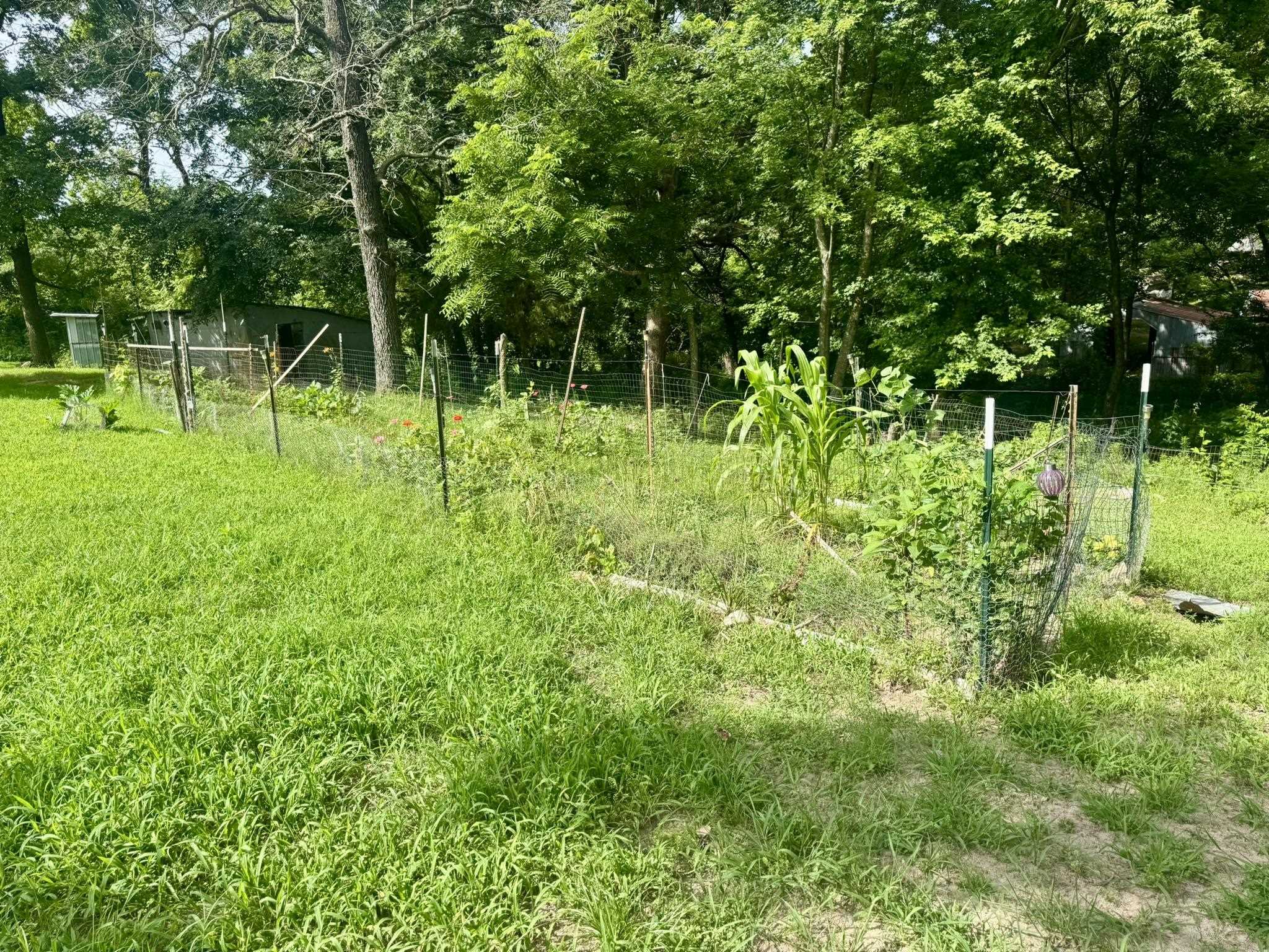 3136 Ar 177 Hwy Property Photo 27