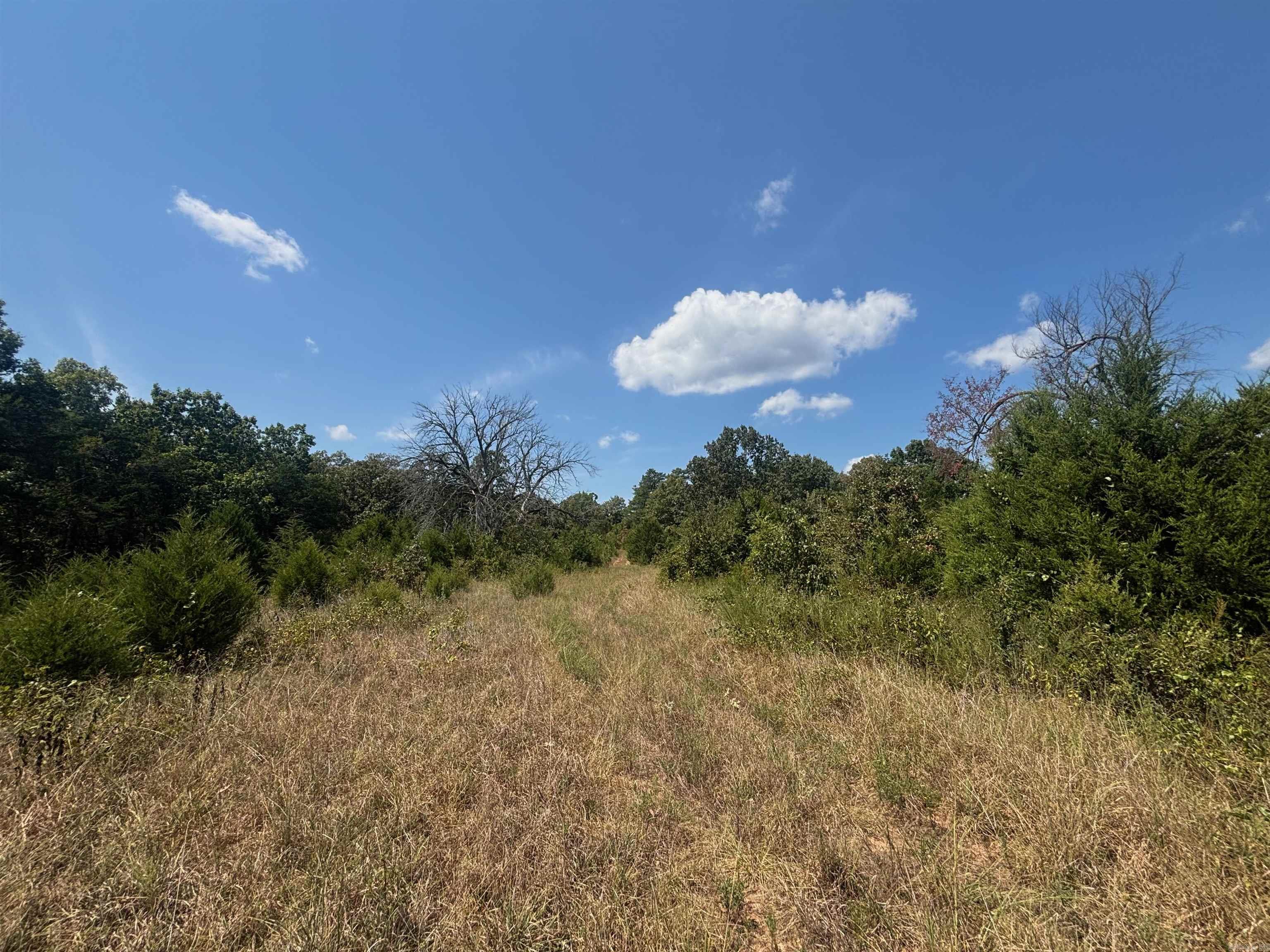 Tract 2 Little Woods Road Property Photo 7
