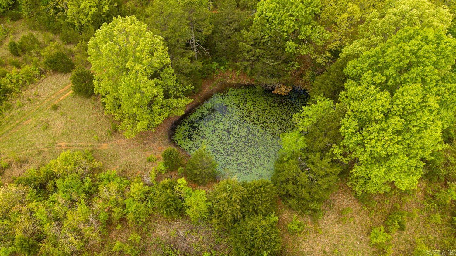 Tract 2 Little Woods Road Property Photo 11