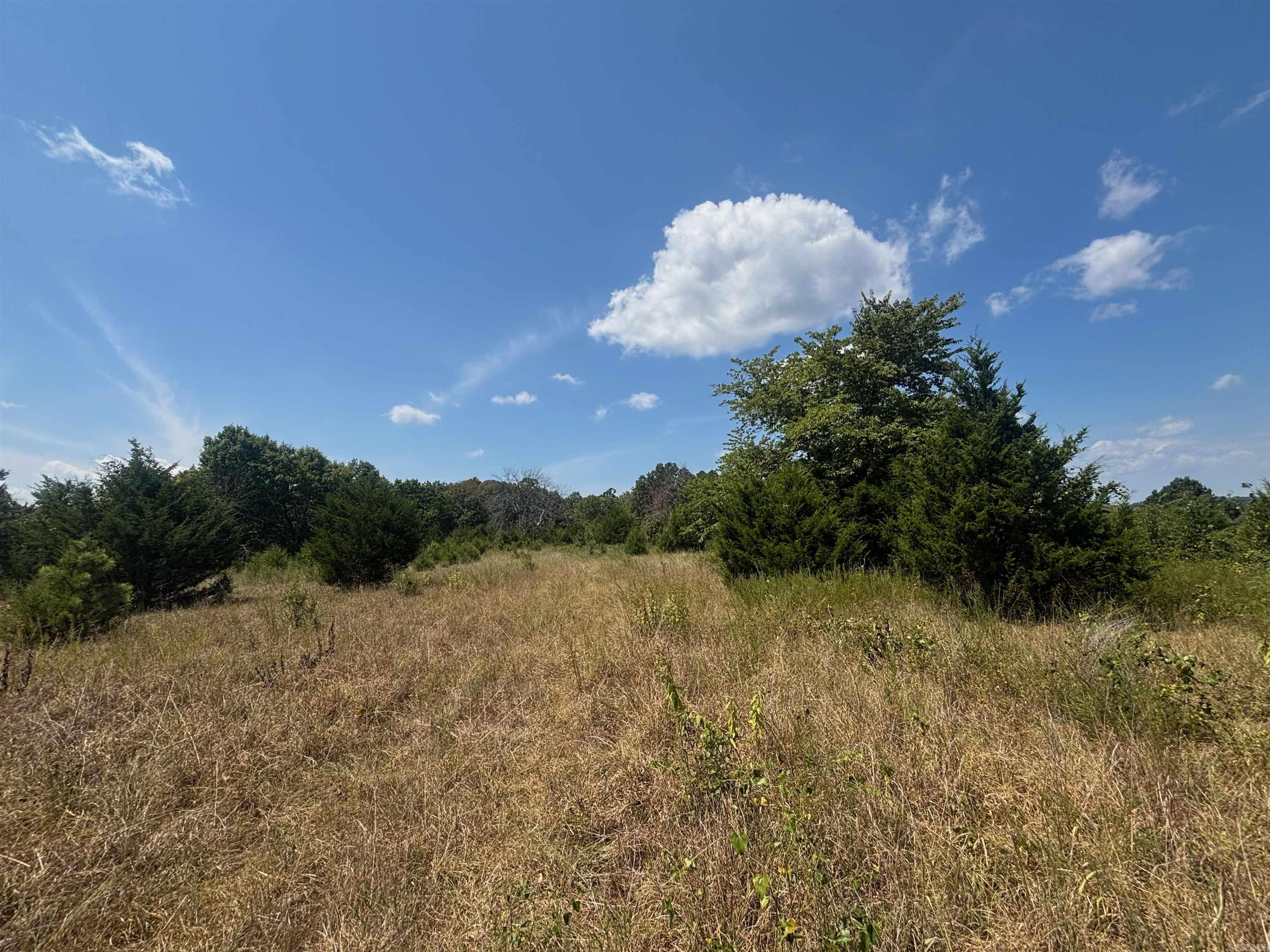 Tract 3 Little Woods Road Property Photo 7