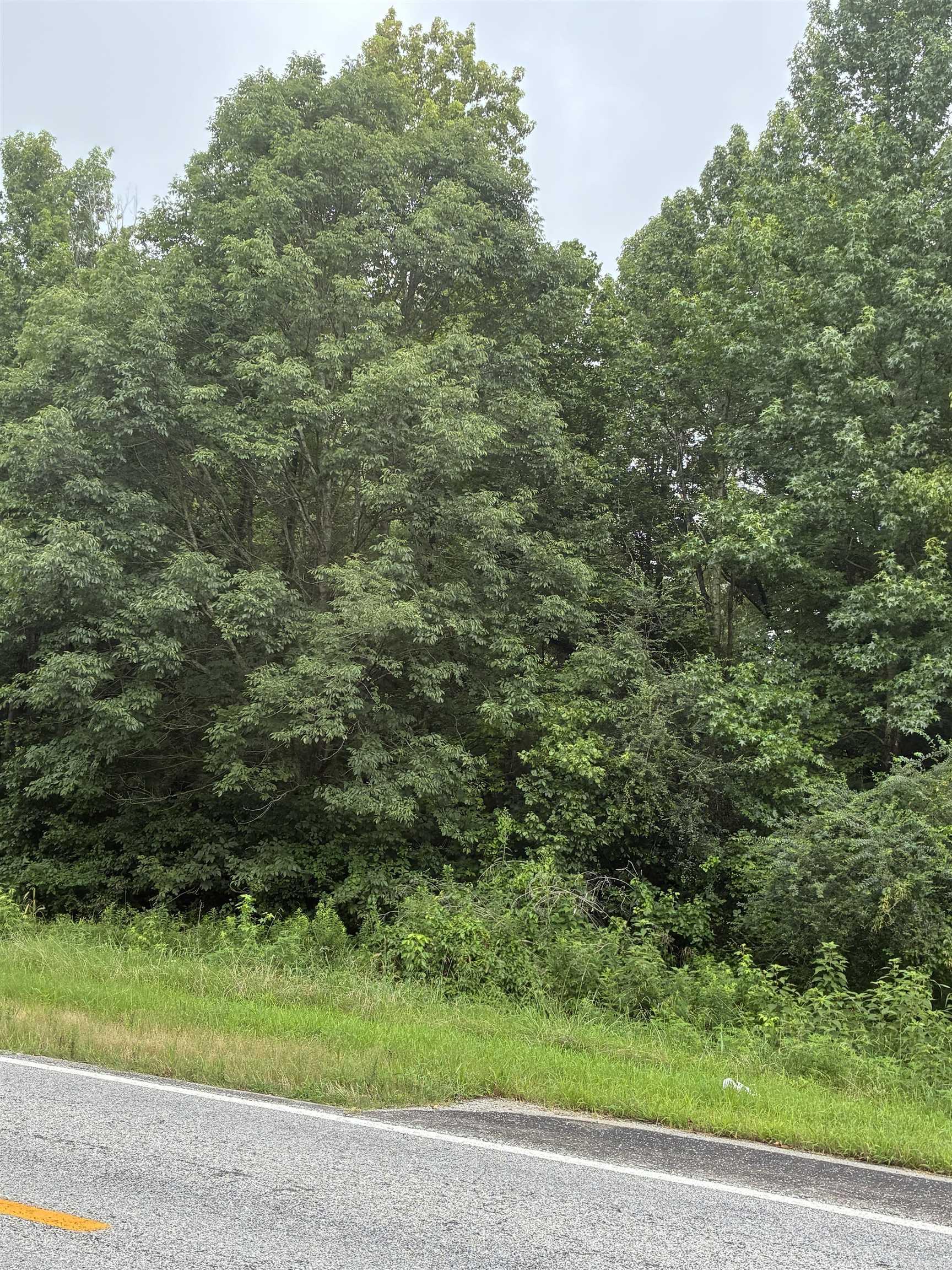 387 Hwy 323 S. Property Photo 1
