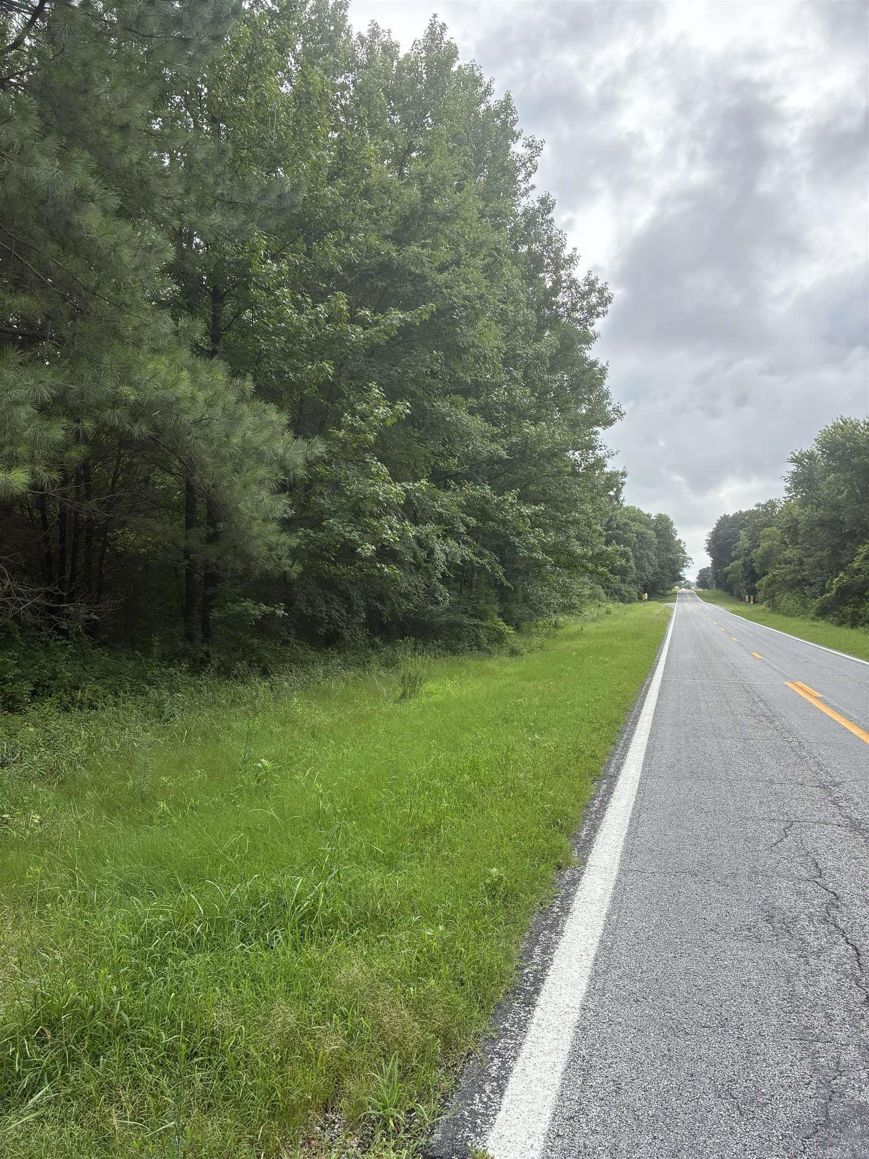 387 Hwy 323 S. Property Photo 2