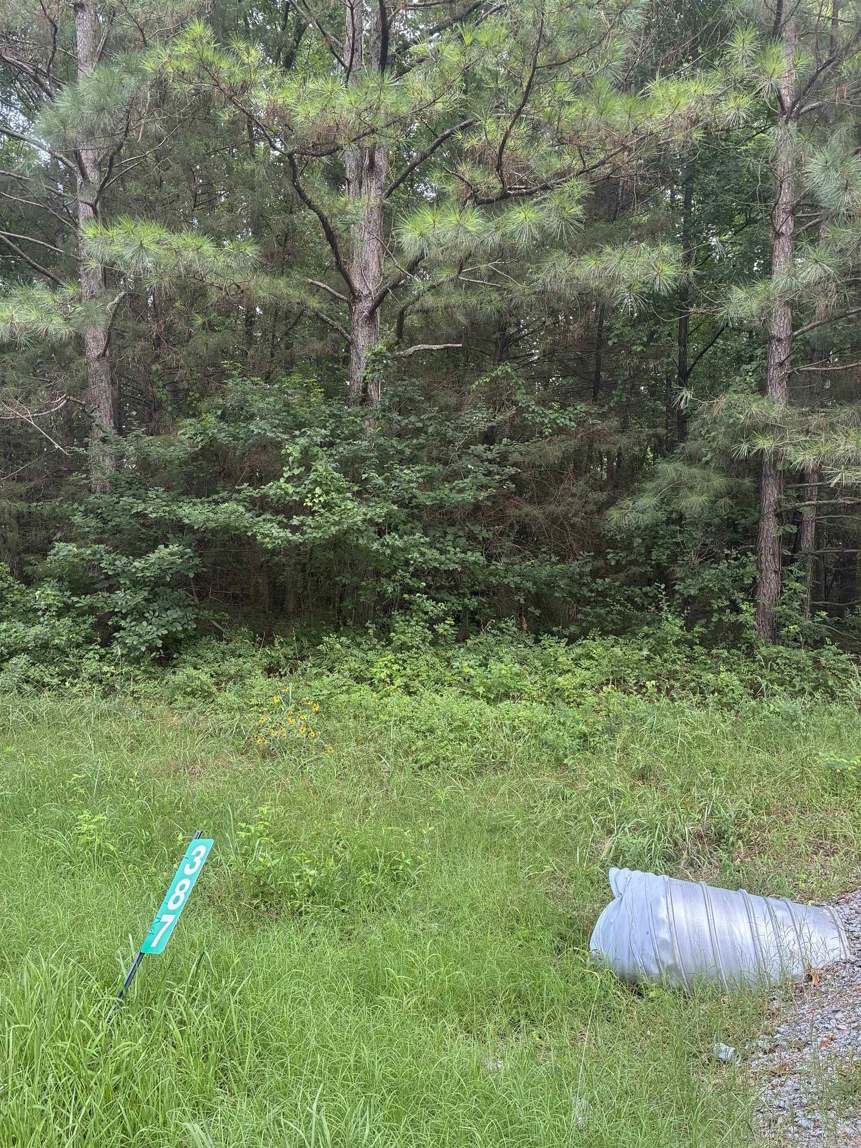 387 Hwy 323 S. Property Photo 3