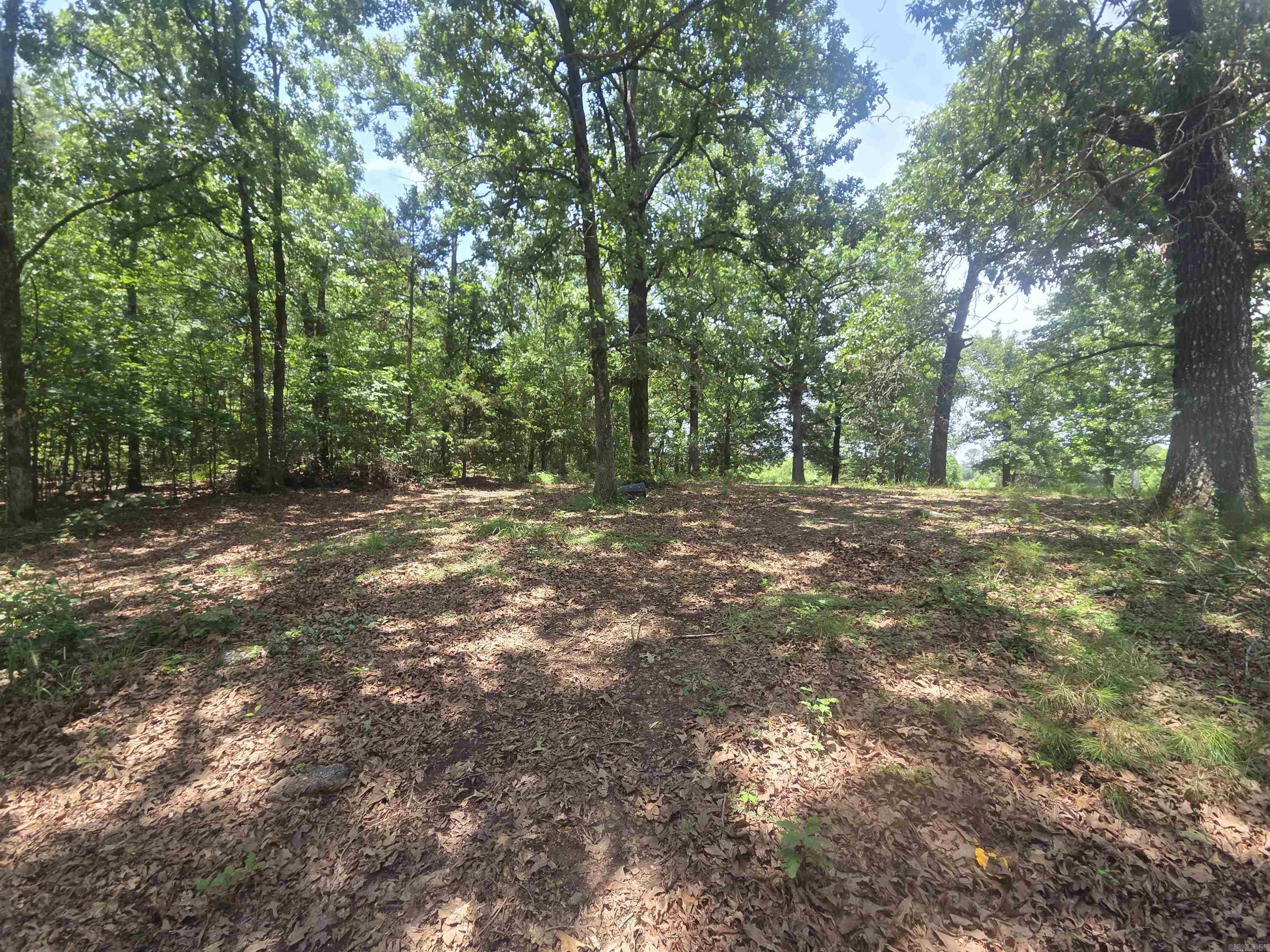 420 Polk Road 36 Property Photo 26