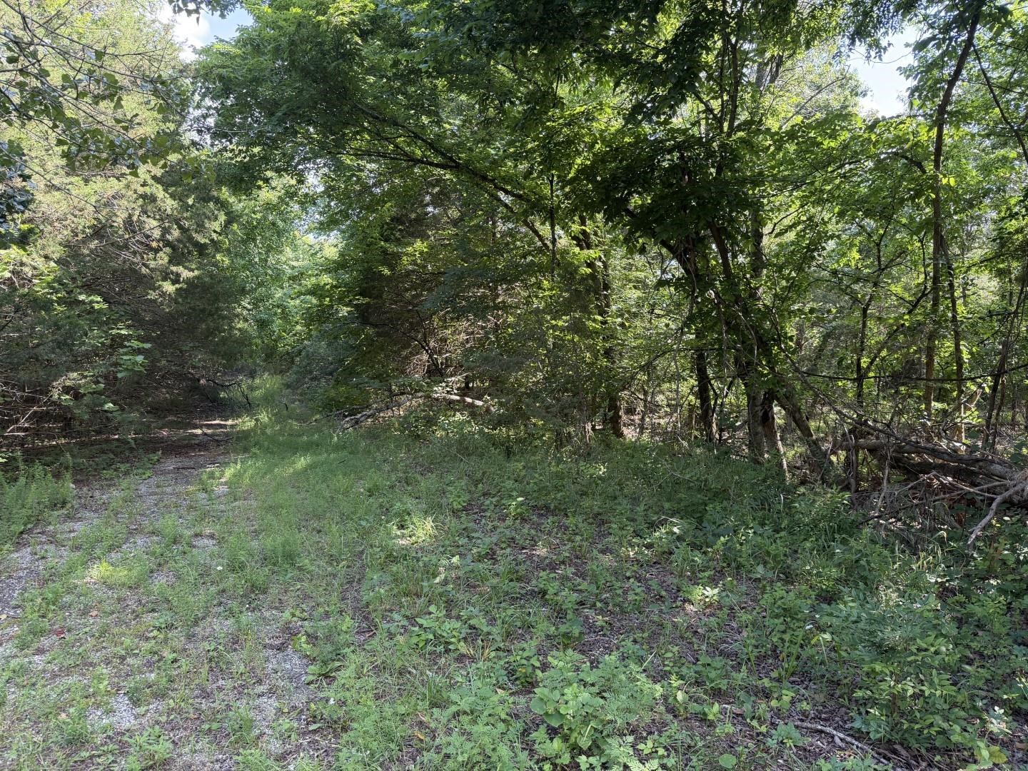 501 Spoon Drive Property Photo 2